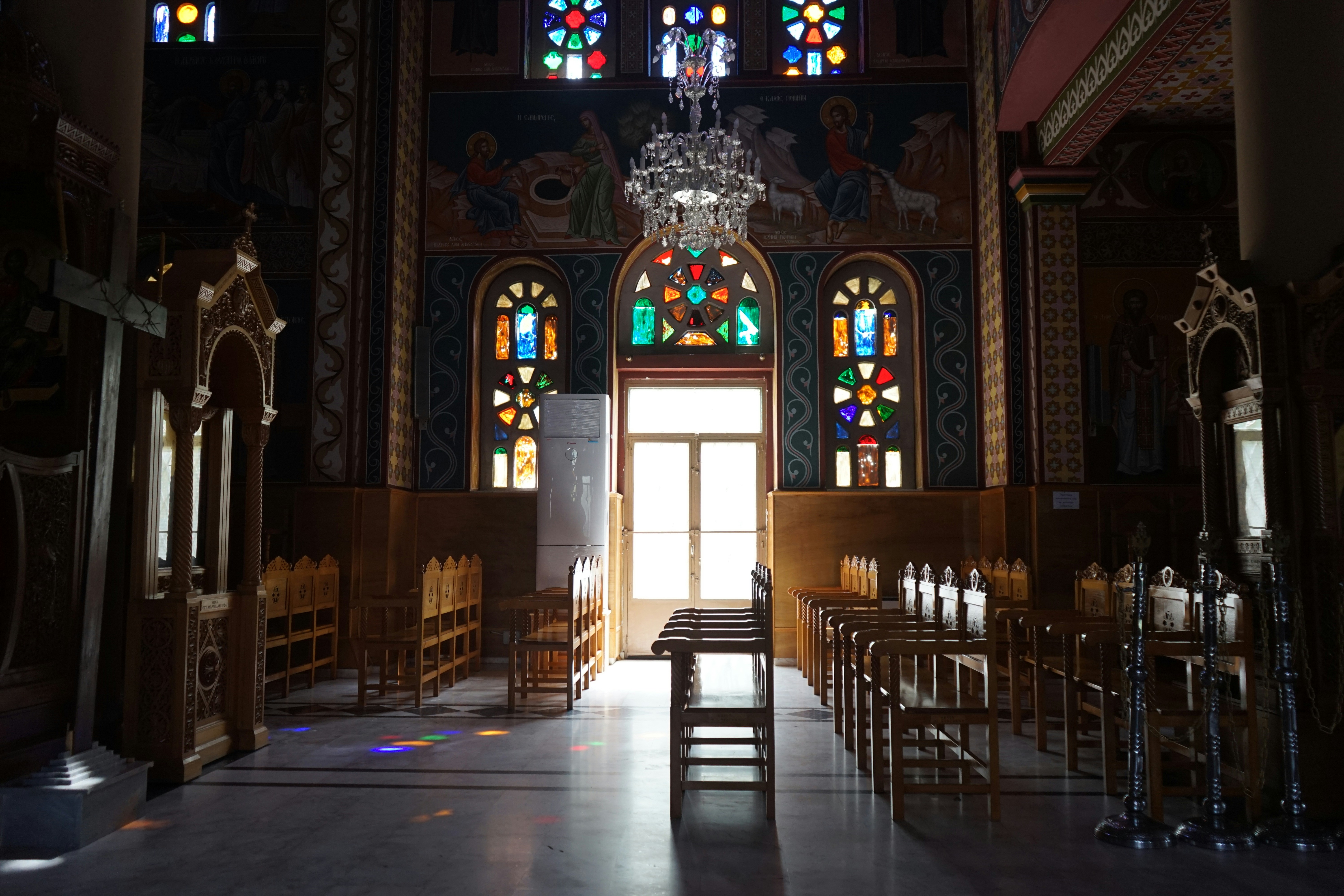 관절염, 이제 고통은 옛말! 과학이 답한 놀라운 회복 비법 大공개!