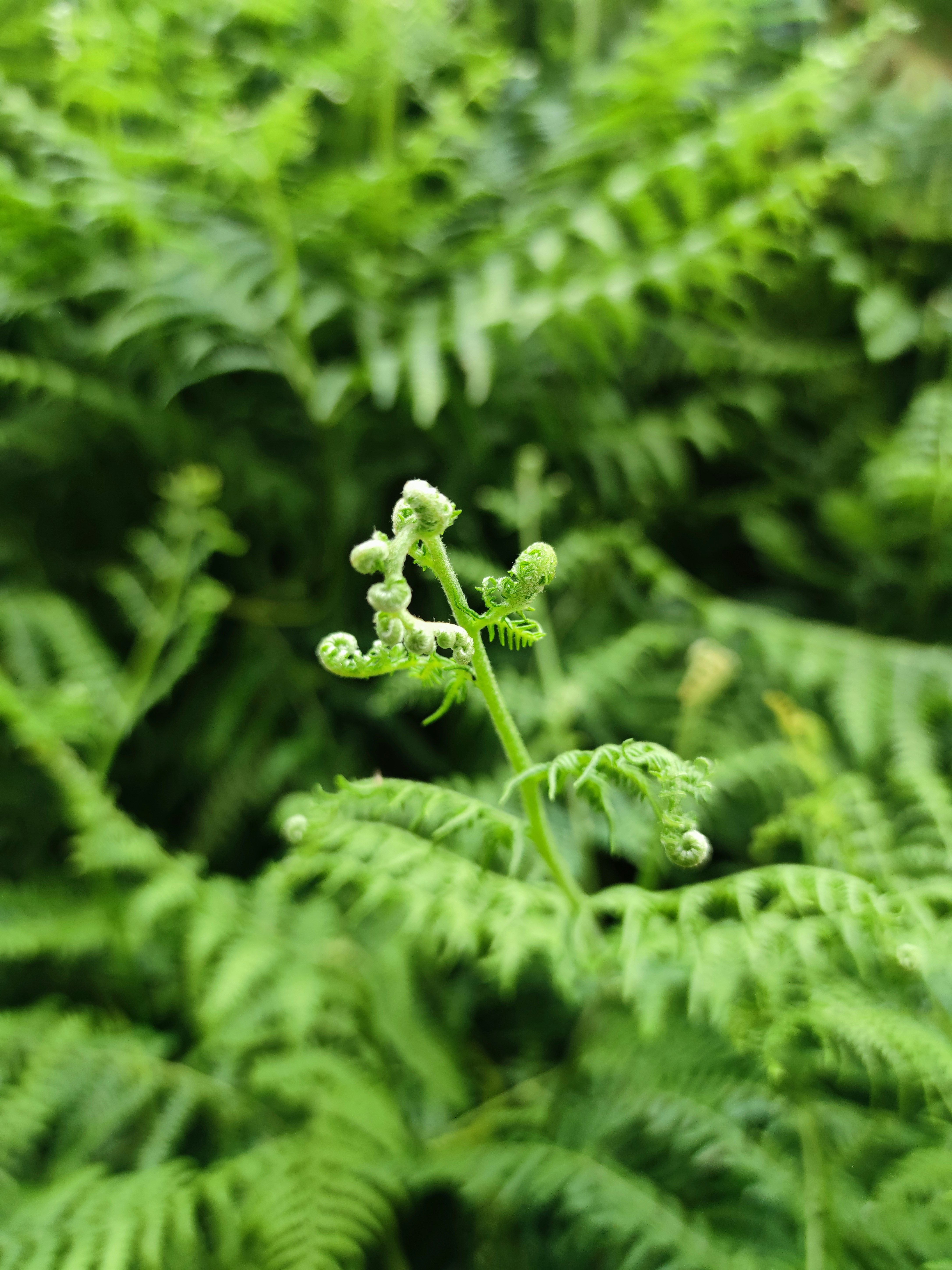 Photo by jmalonsoabalo