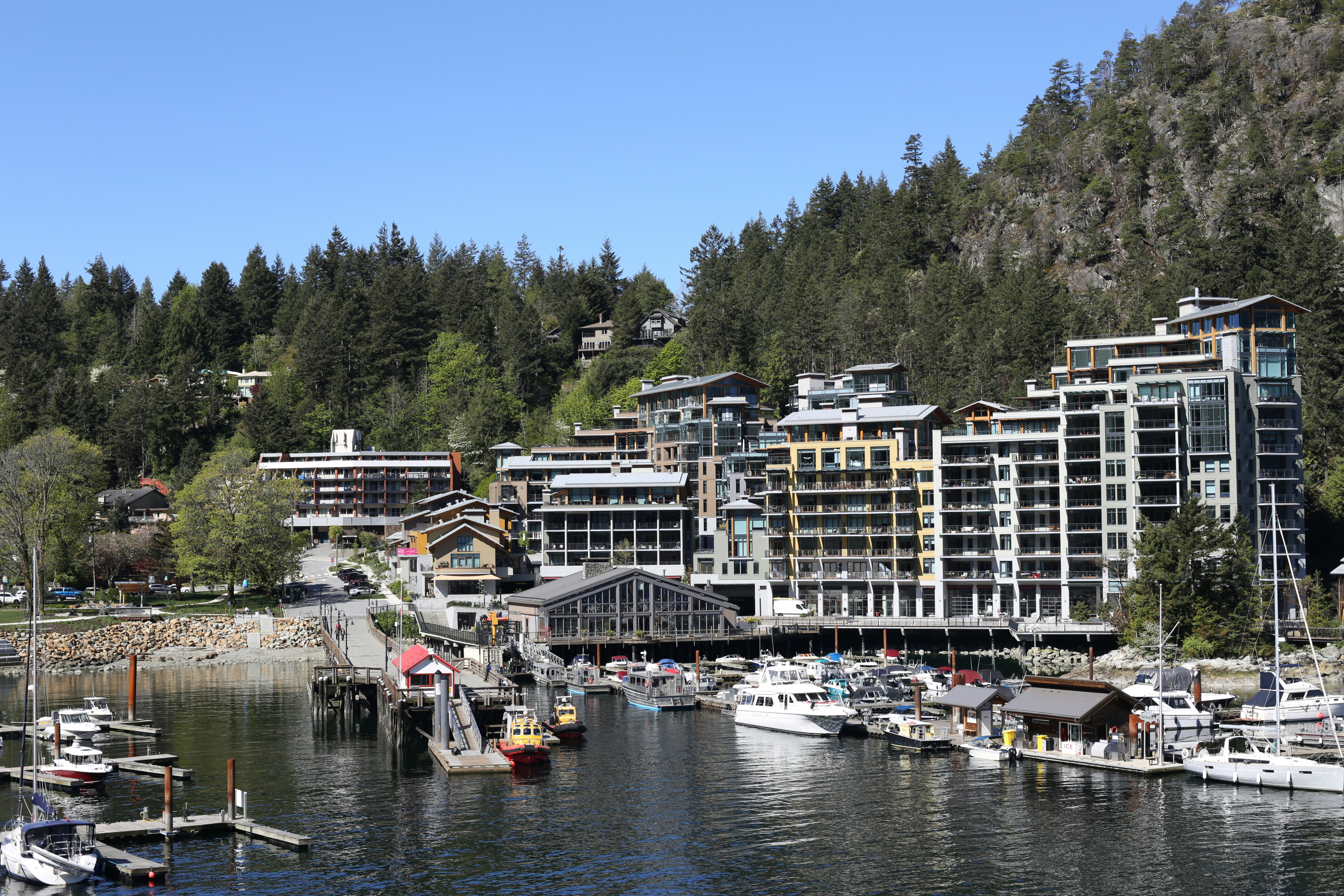 a group of boats are docked in a harbor