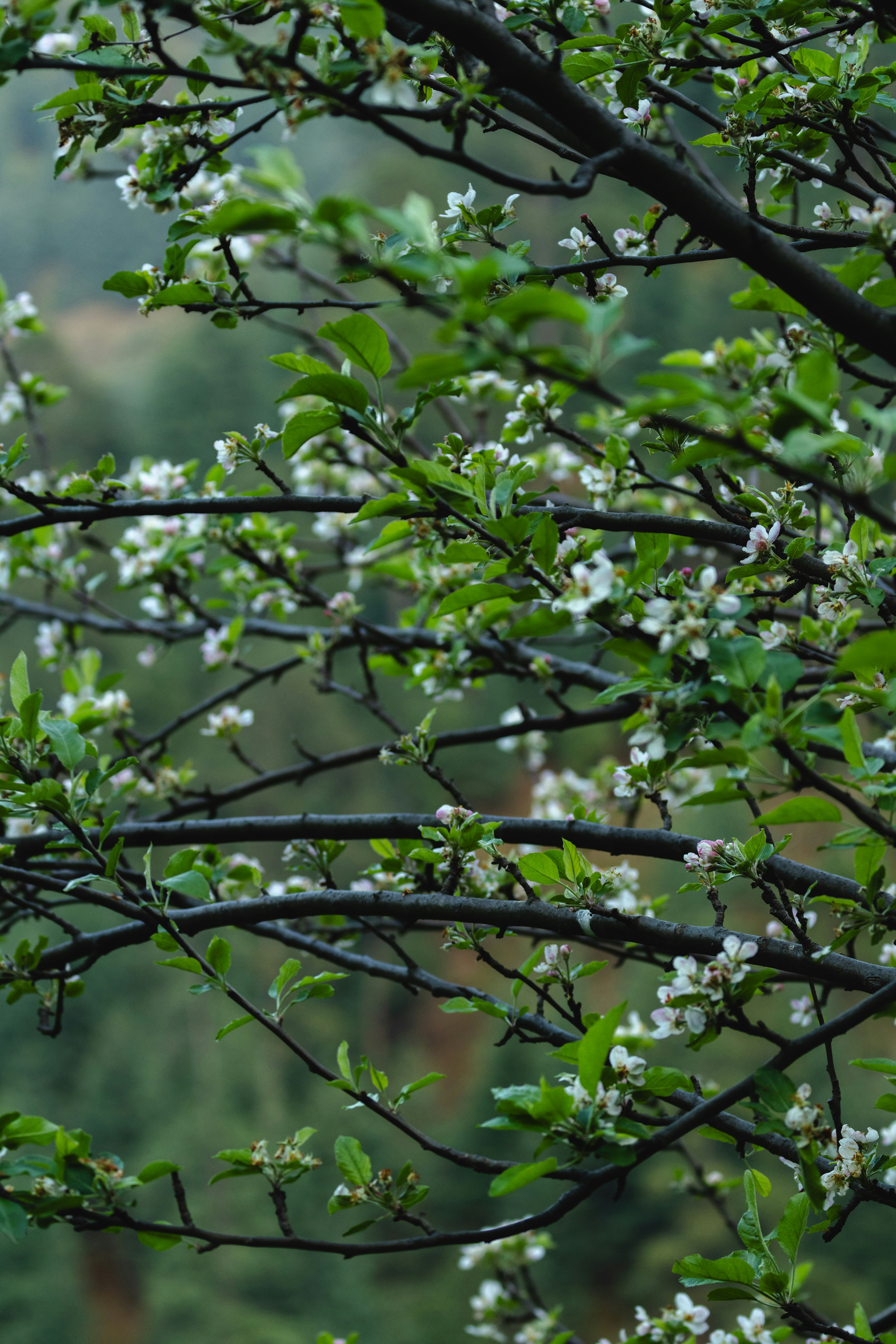 Photo by dhruvinpandya4