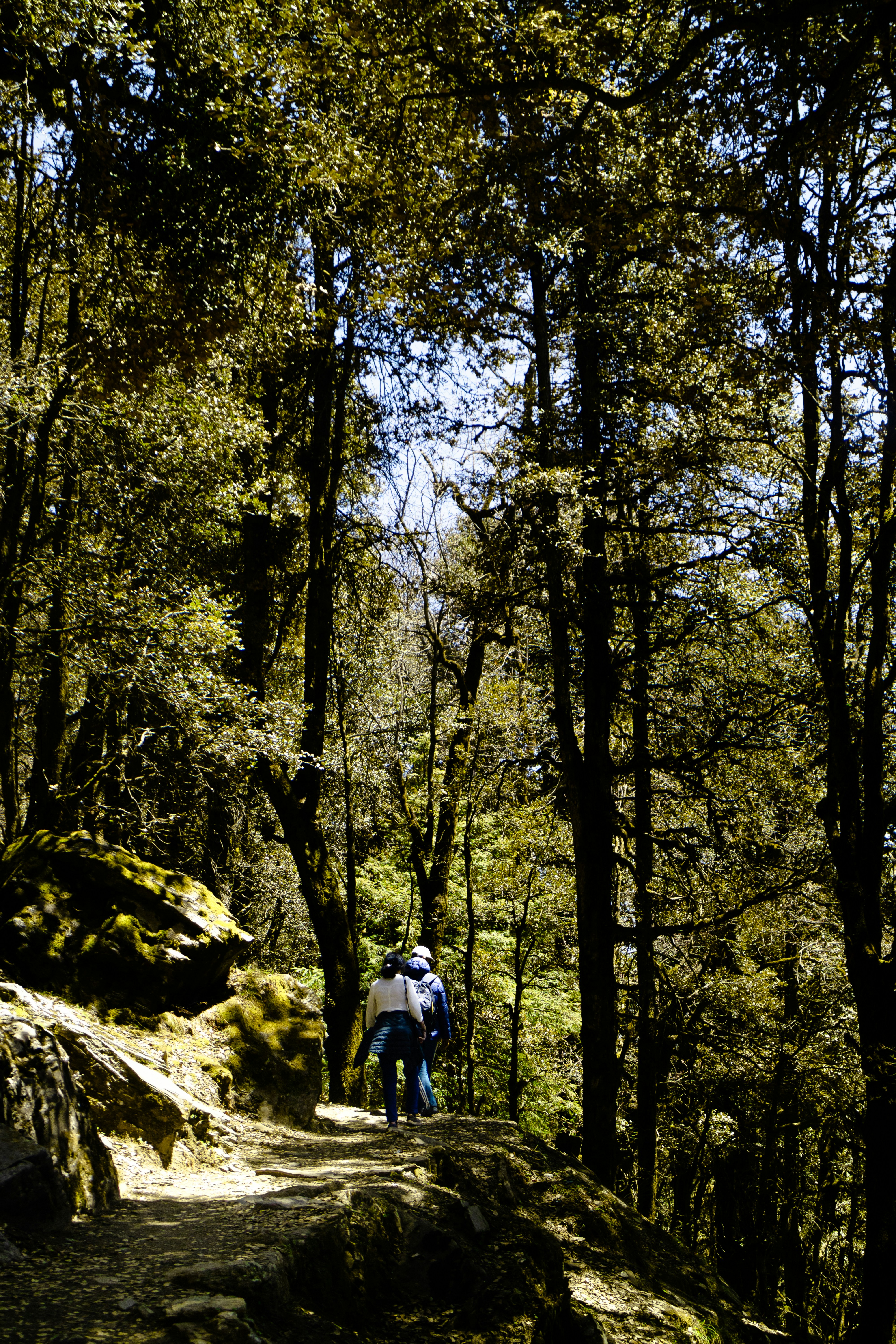 Photo by dhruvinpandya4