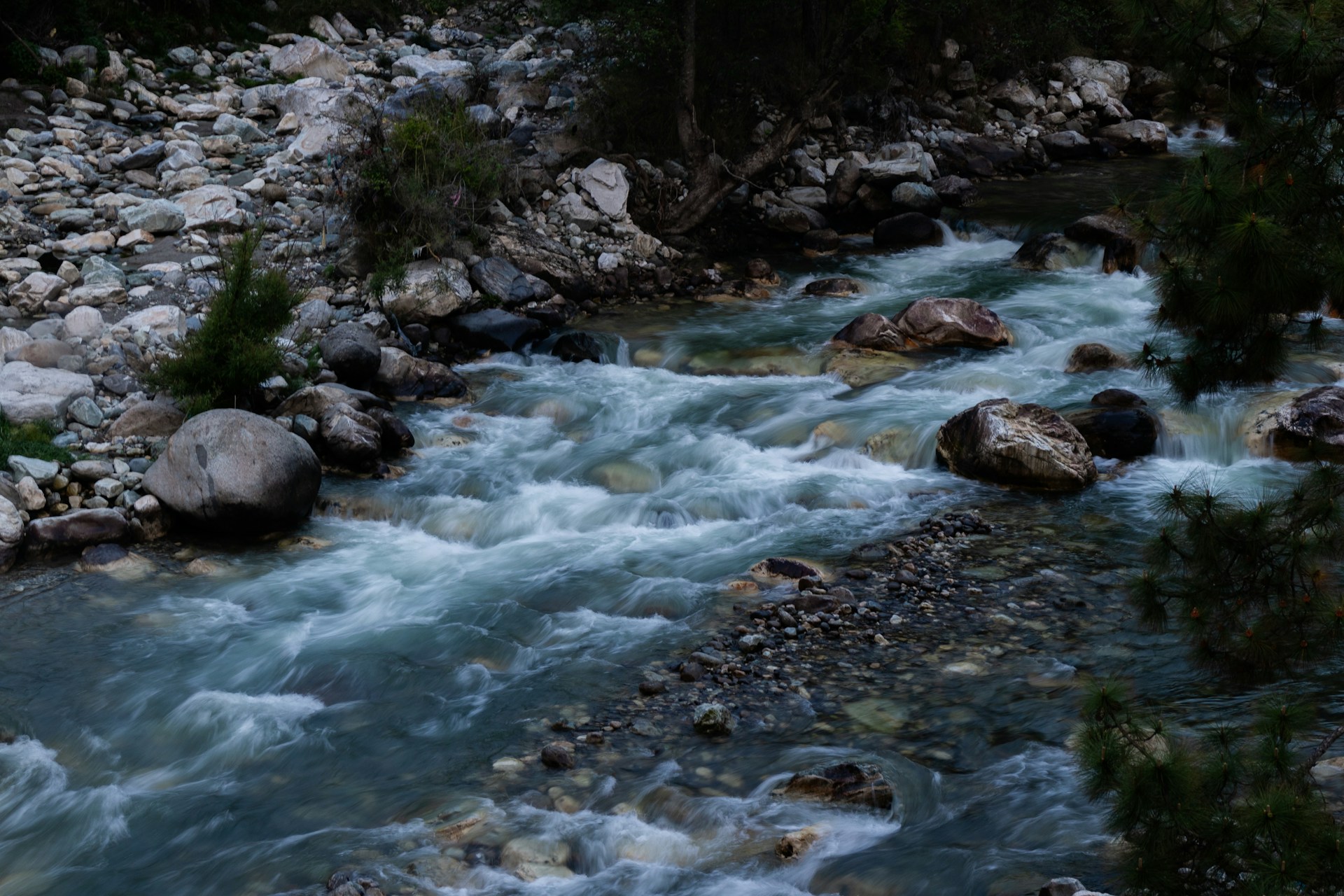 a river running through a forest filled with rocks