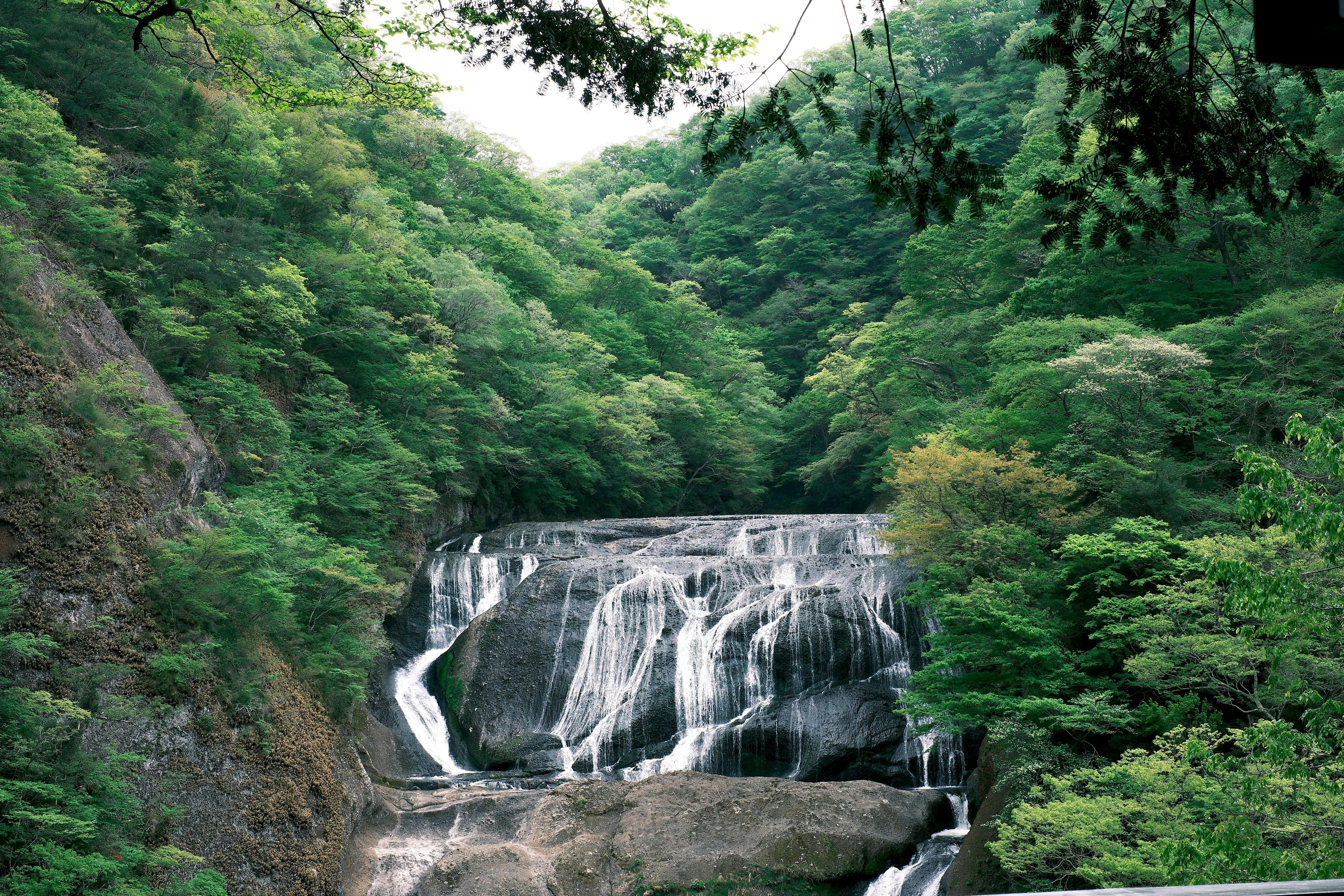 a waterfall in the middle of a lush green forest