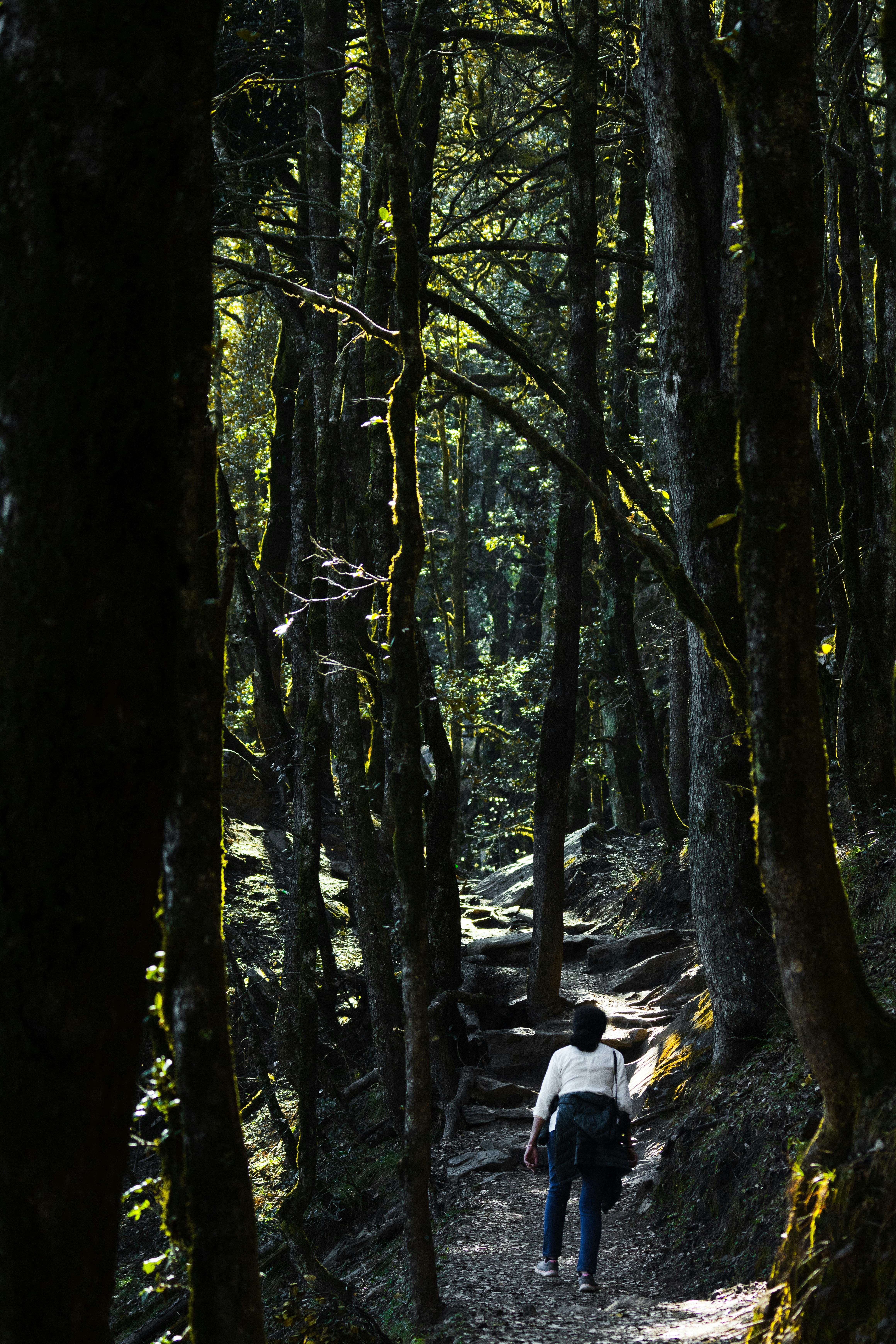 Photo by dhruvinpandya4