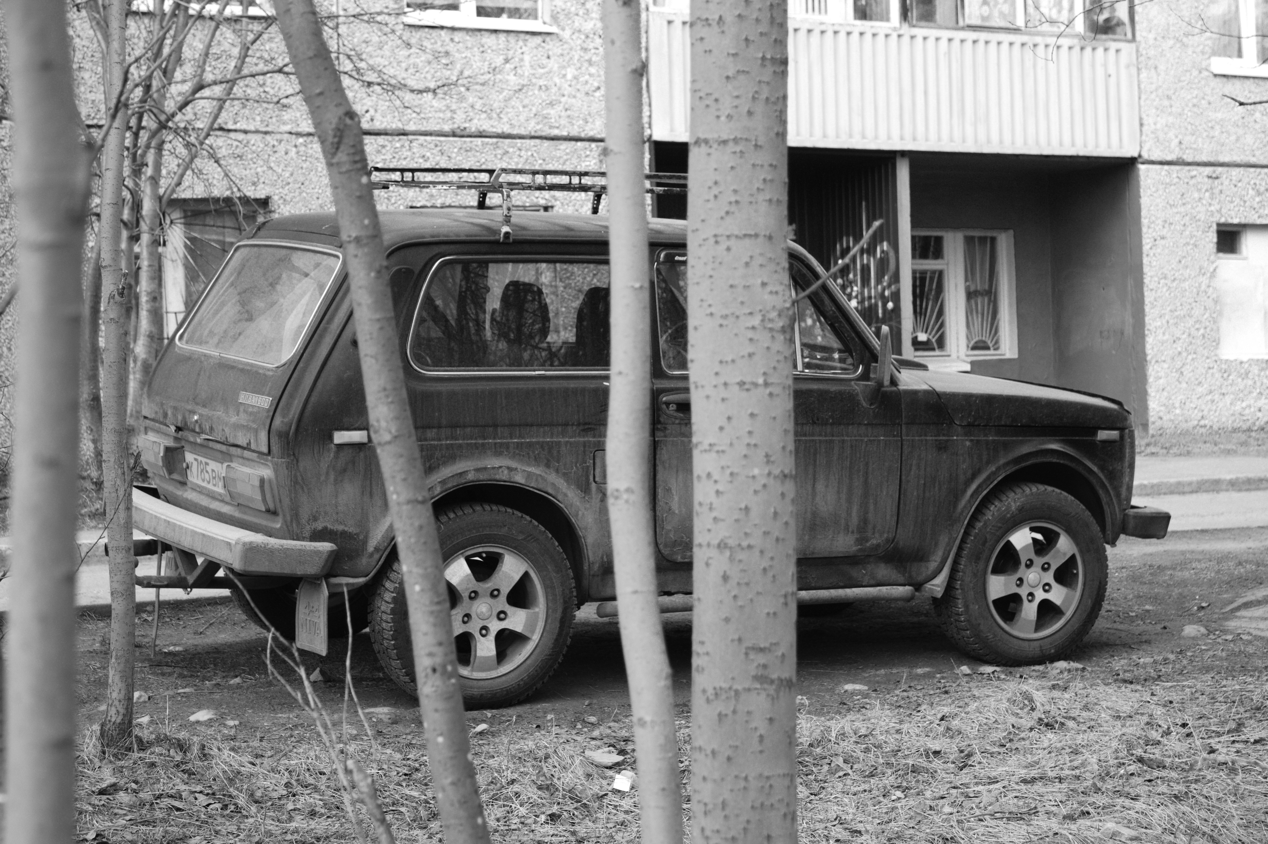 Photo by alexander_churkin