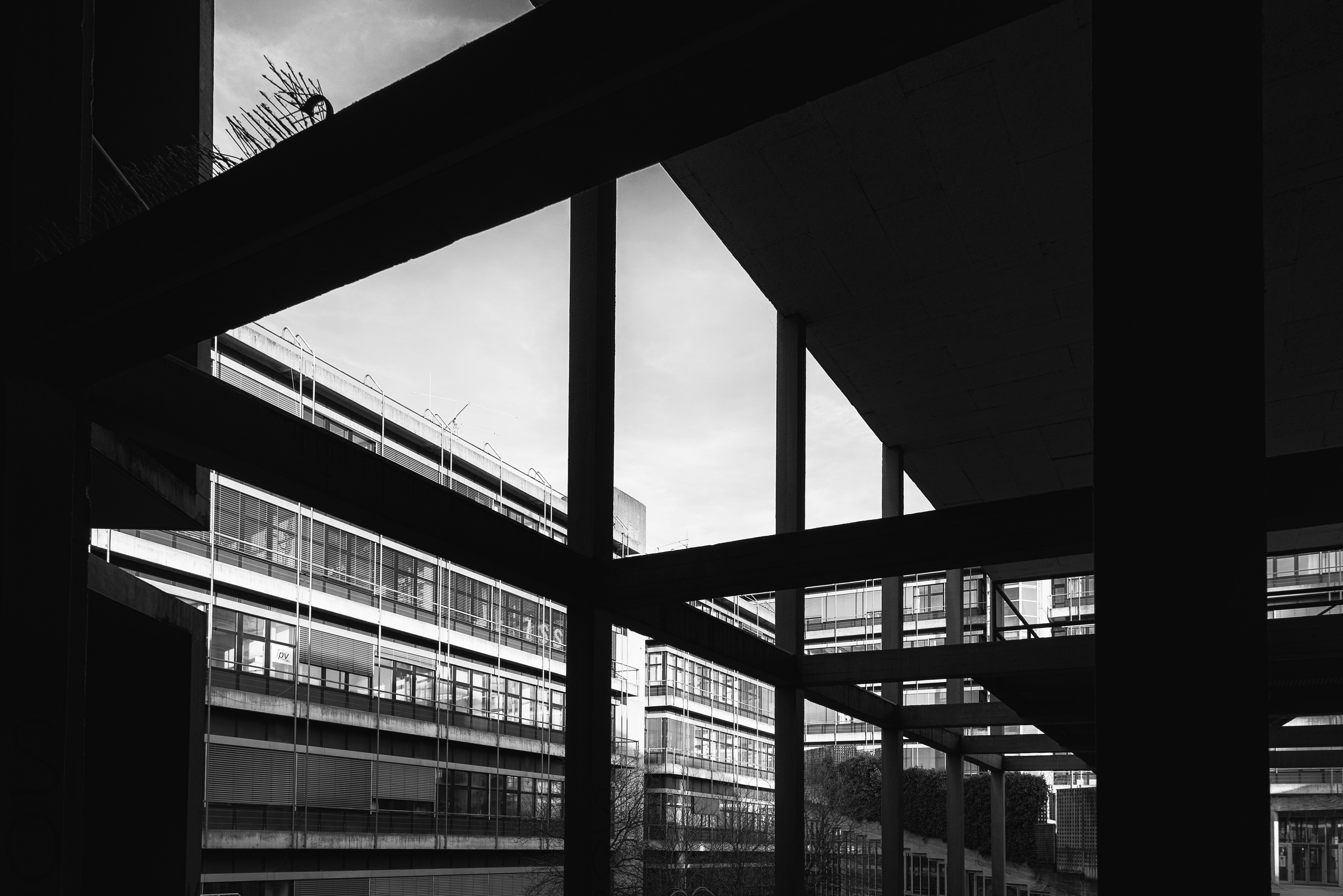 Photo by alu312426663