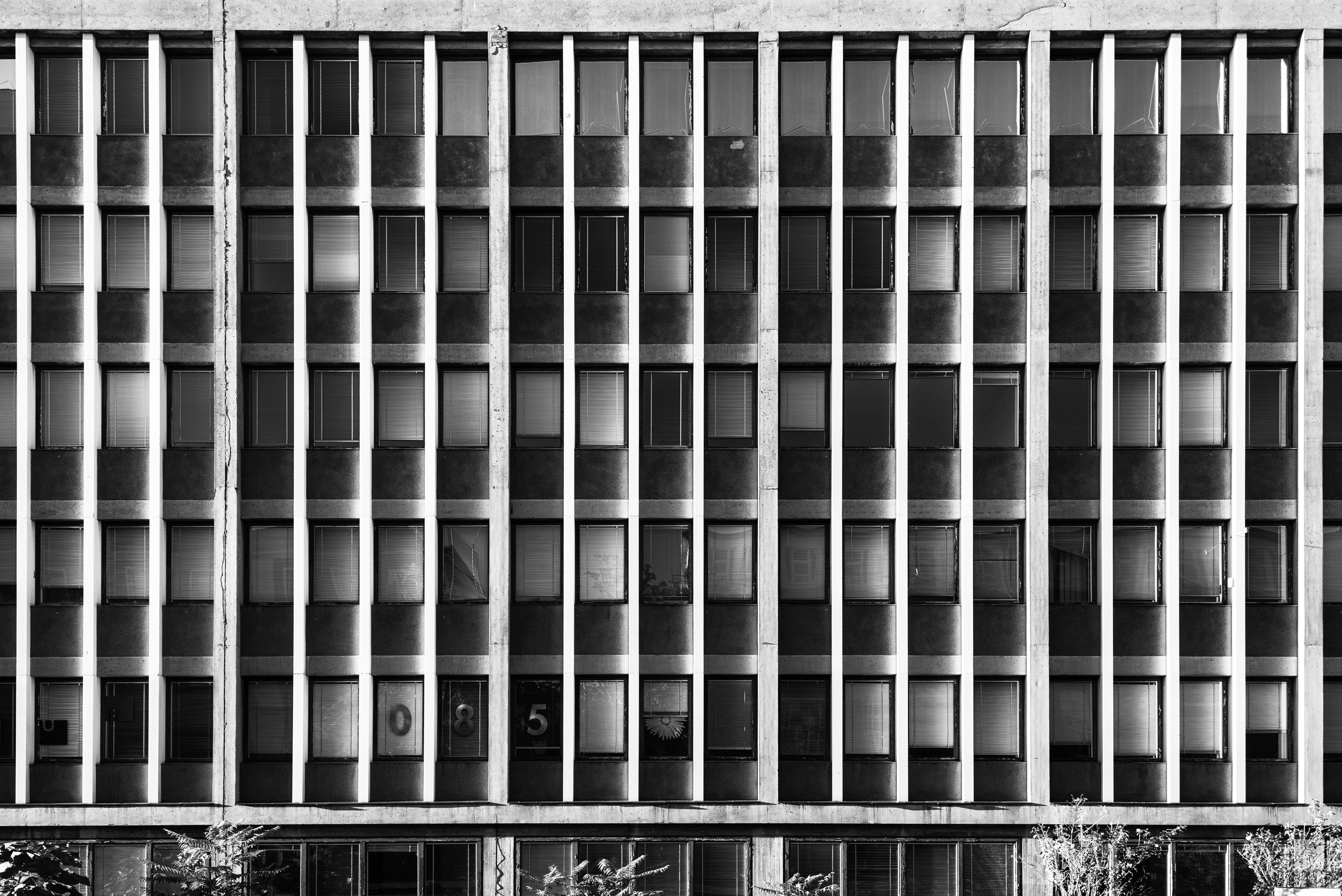 Photo by alu312426663