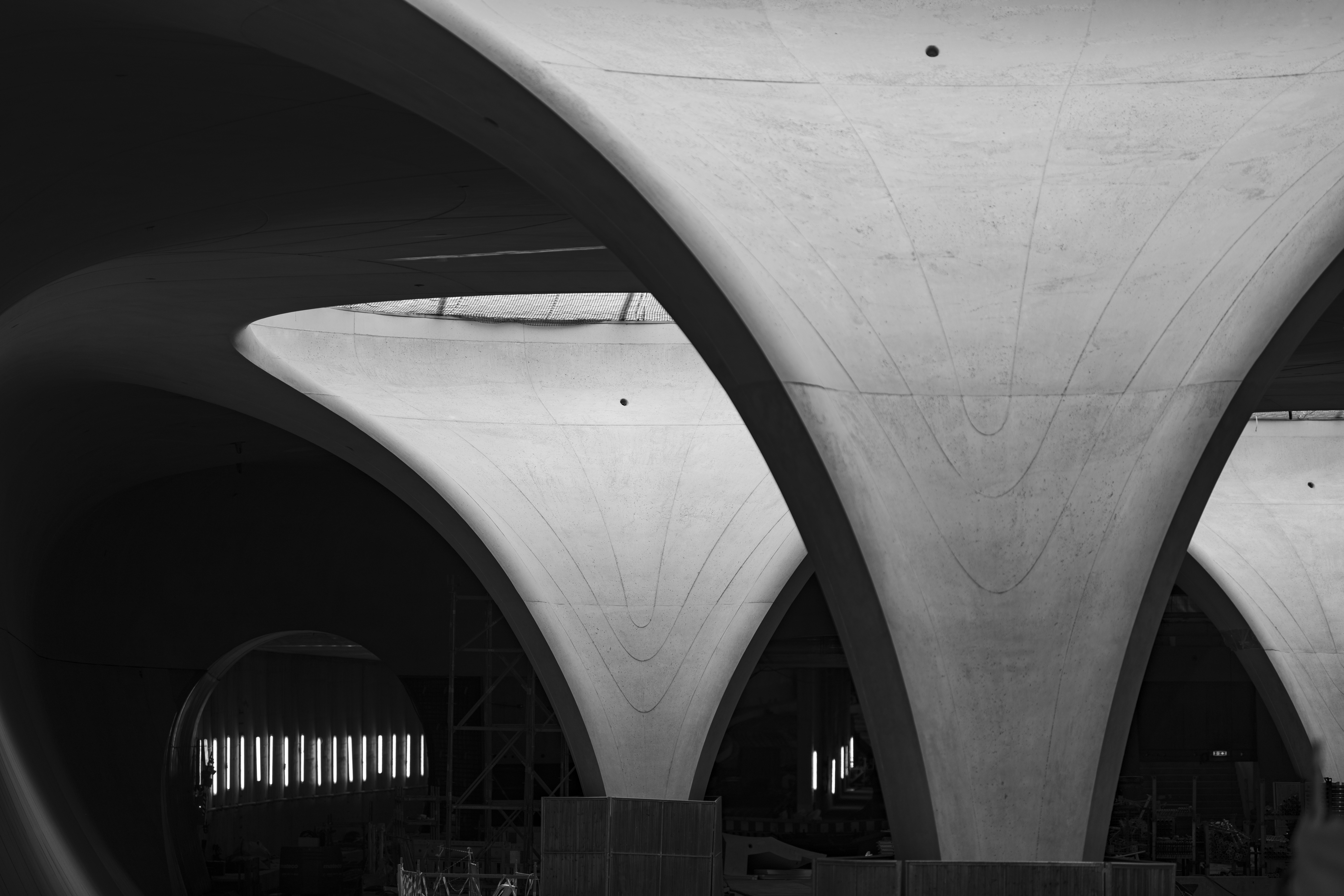 Photo by alu312426663