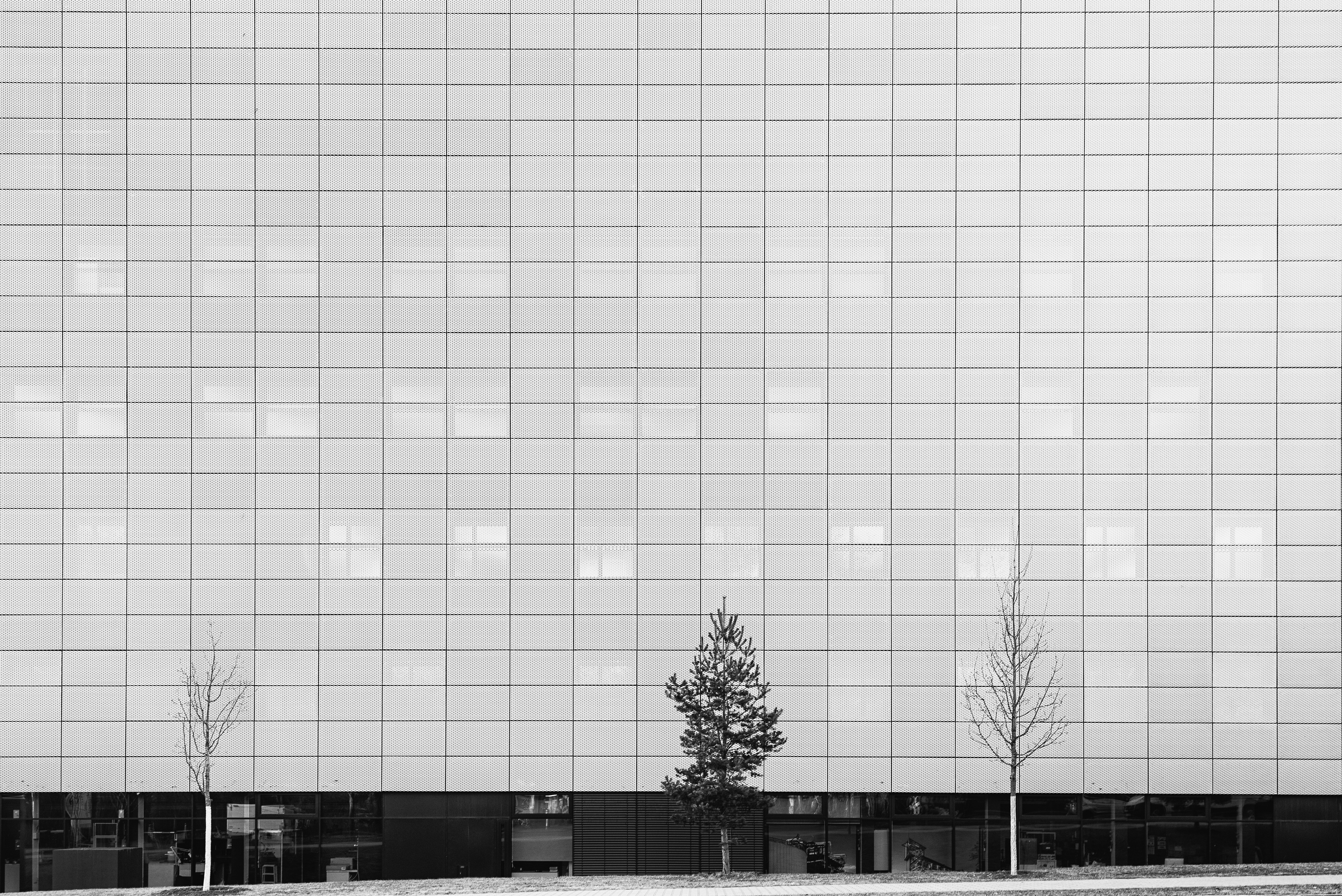 Photo by alu312426663