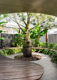 a wooden bench sitting next to a tree