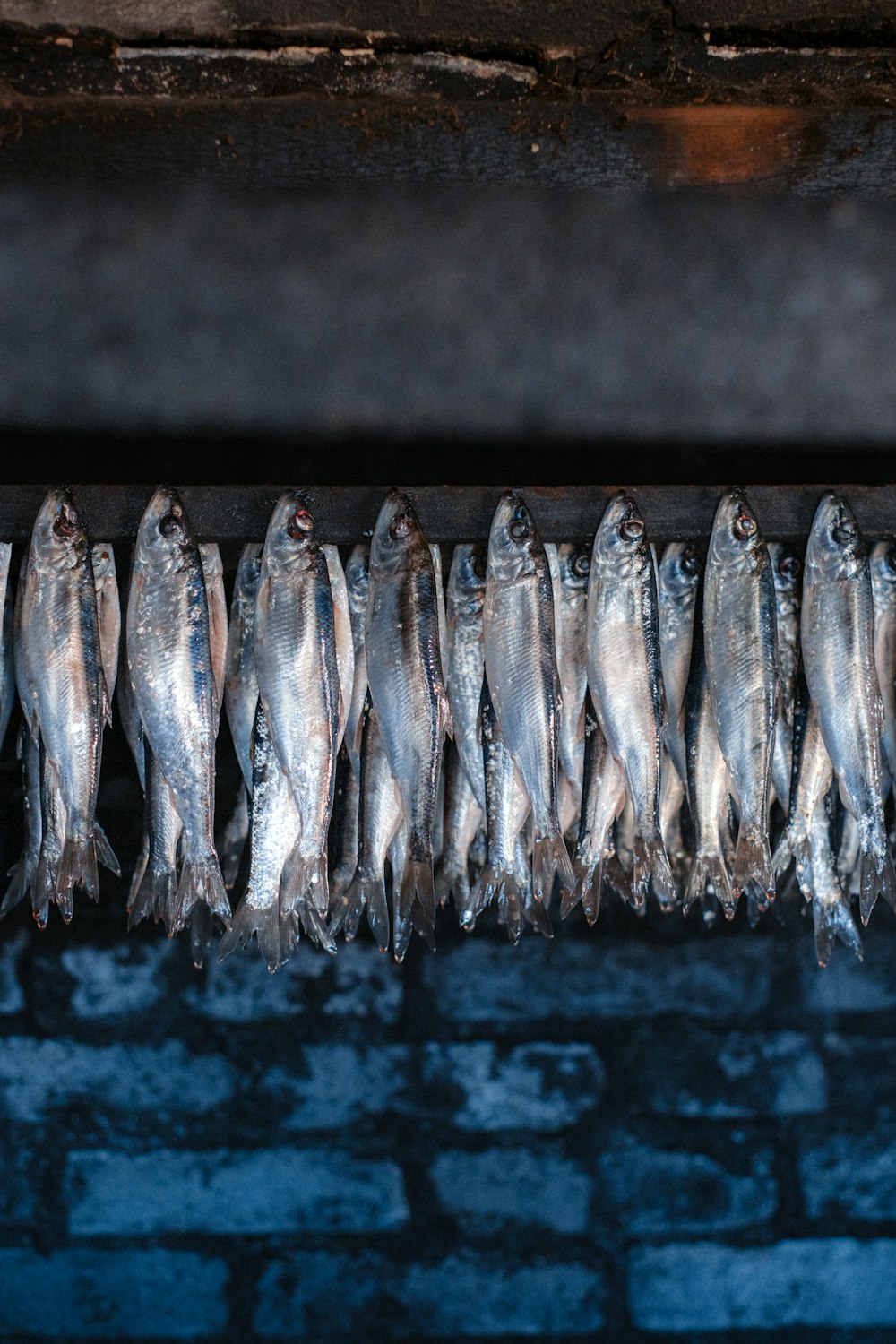 a bunch of fish are lined up on a rack