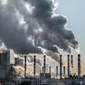 smoke billows from the stacks of industrial buildings
