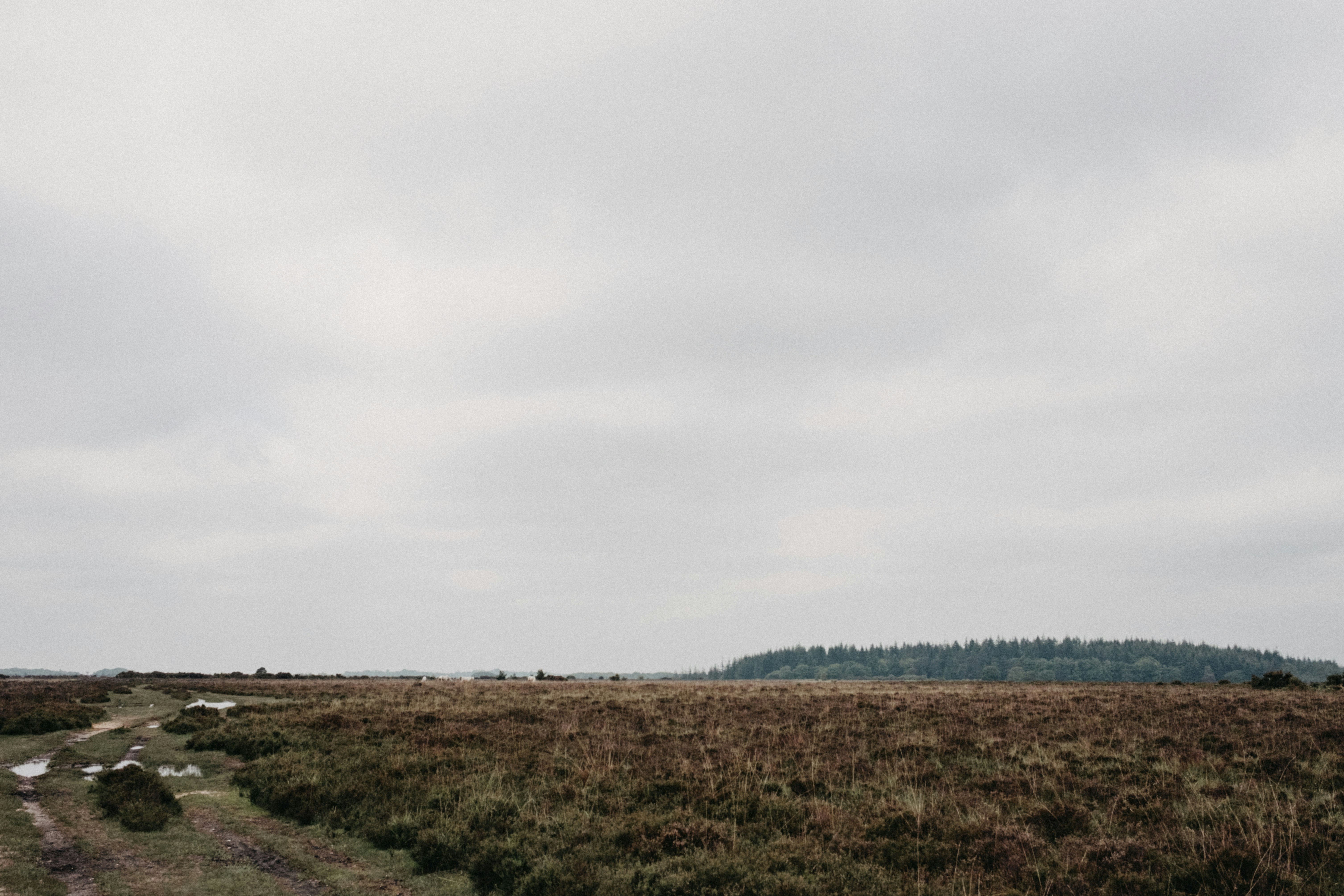 Photo by anniespratt