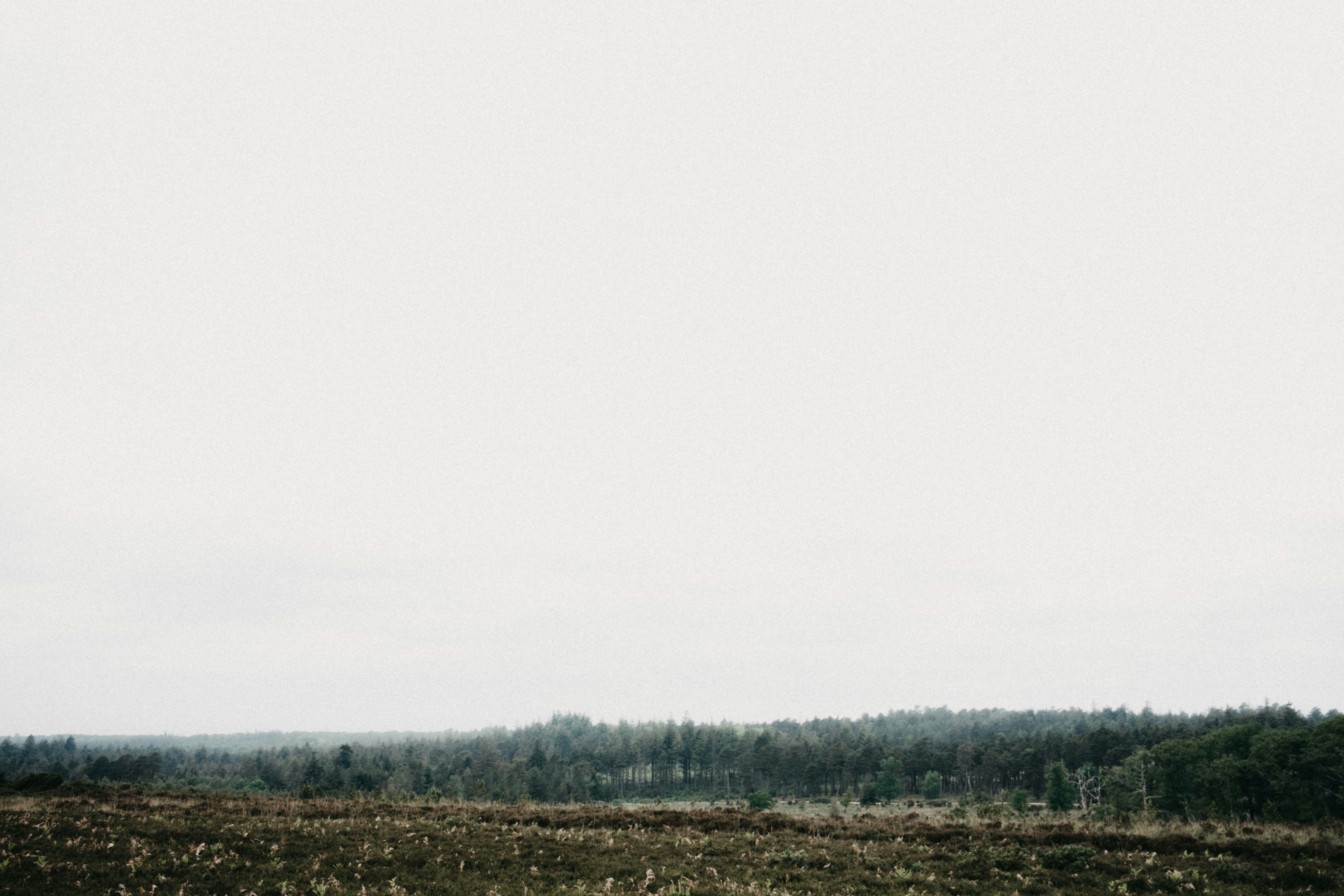 Photo by anniespratt