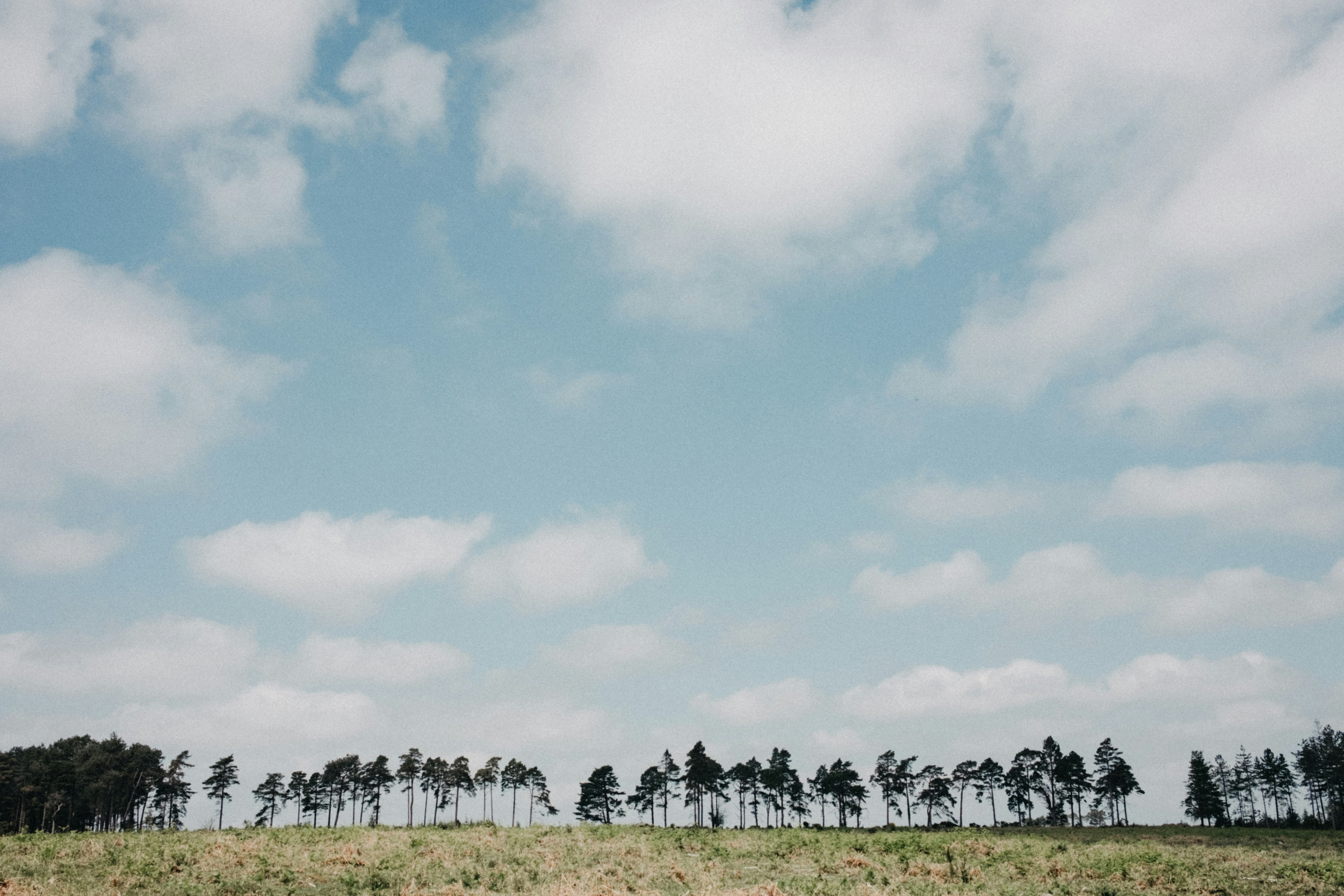 Photo by anniespratt