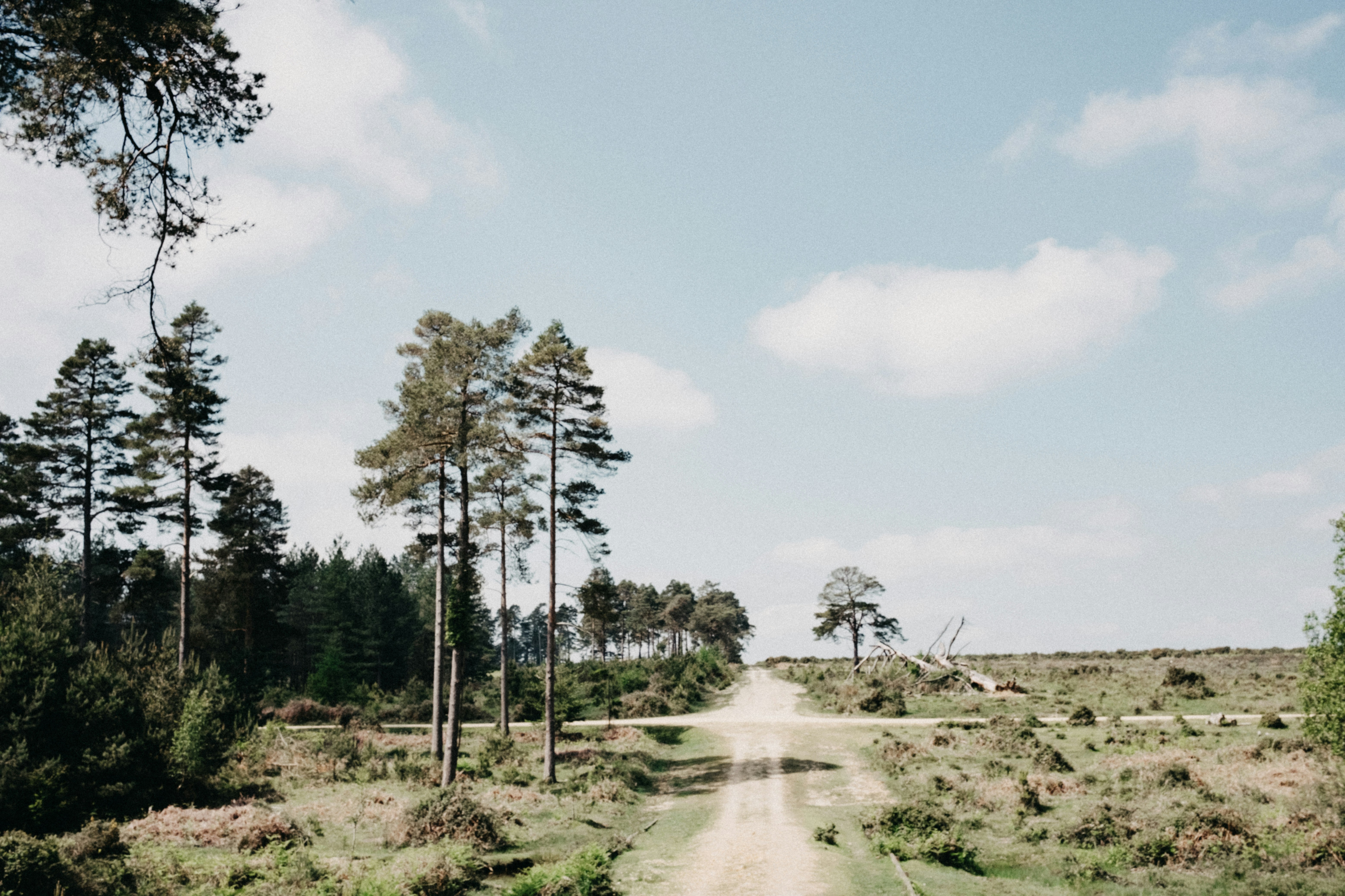 Photo by anniespratt