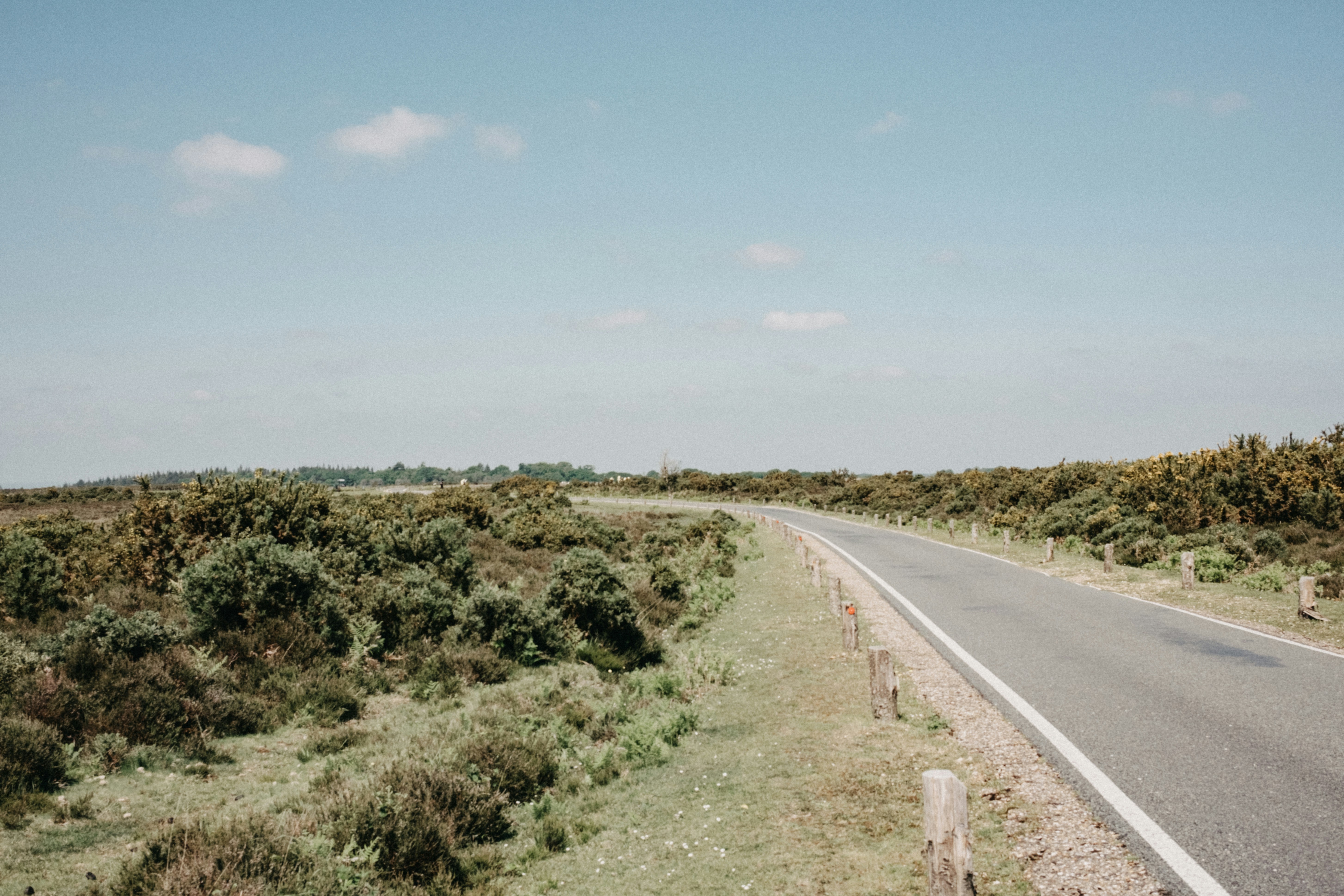 Photo by anniespratt