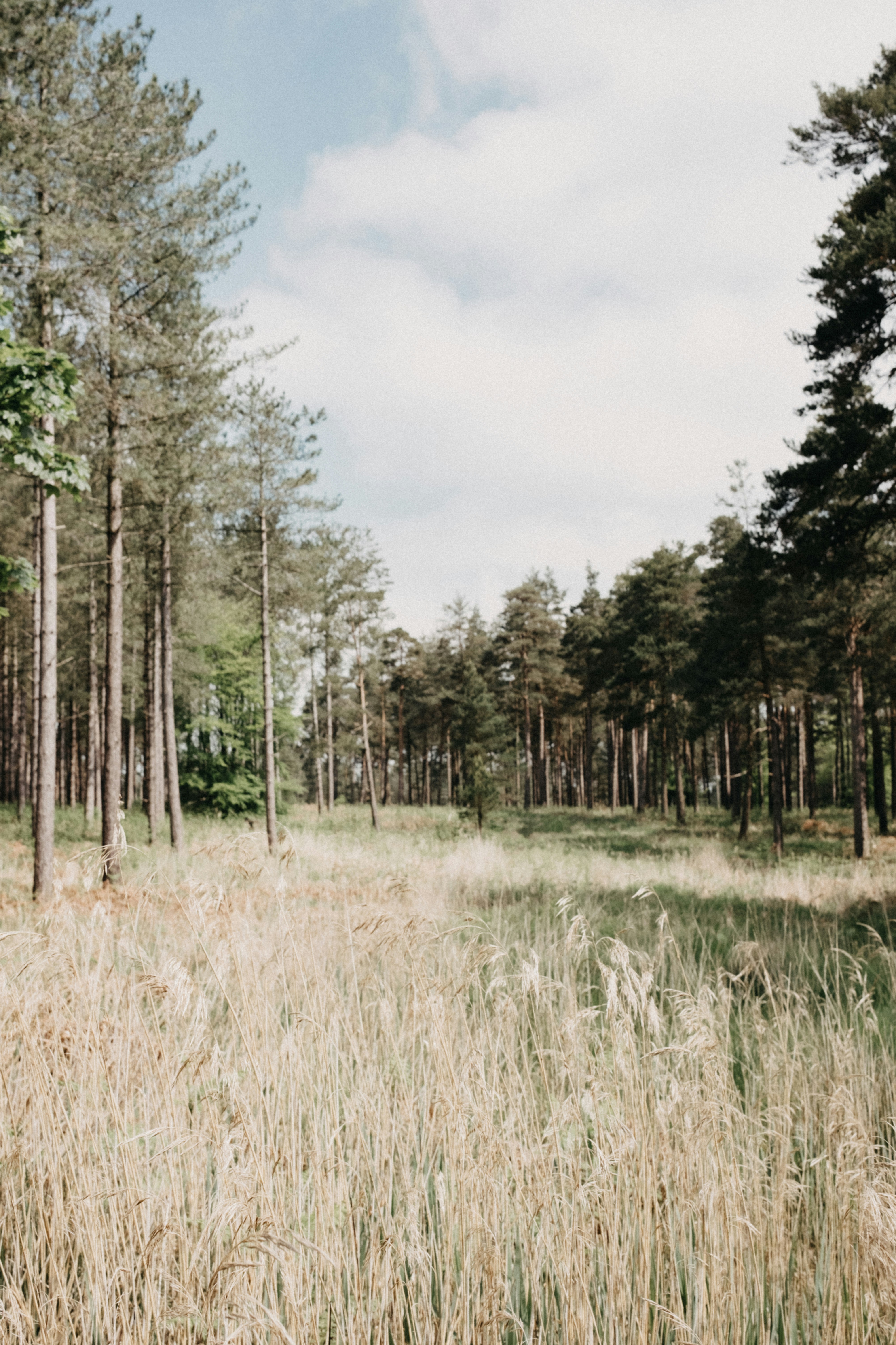 Photo by anniespratt