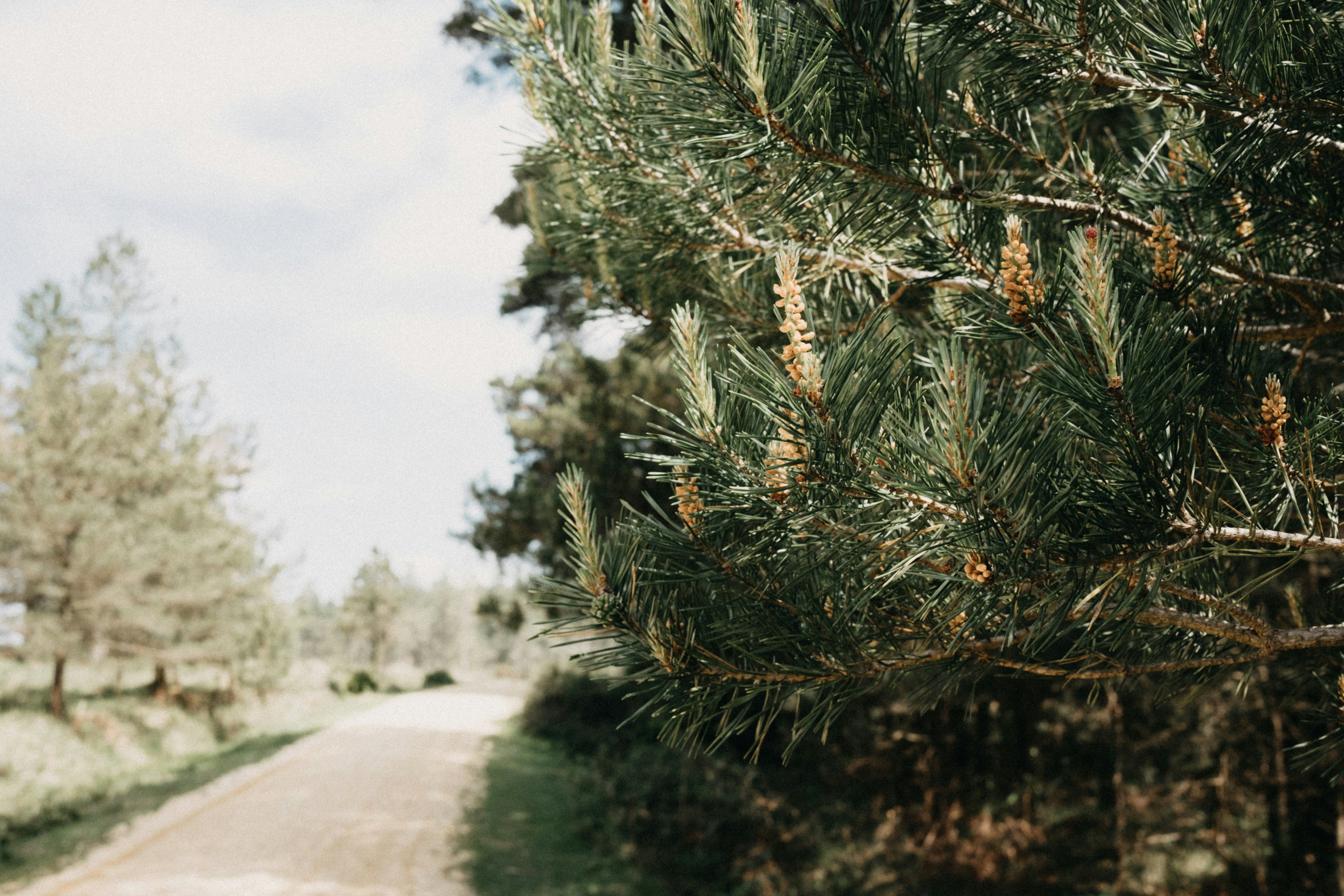 Photo by anniespratt