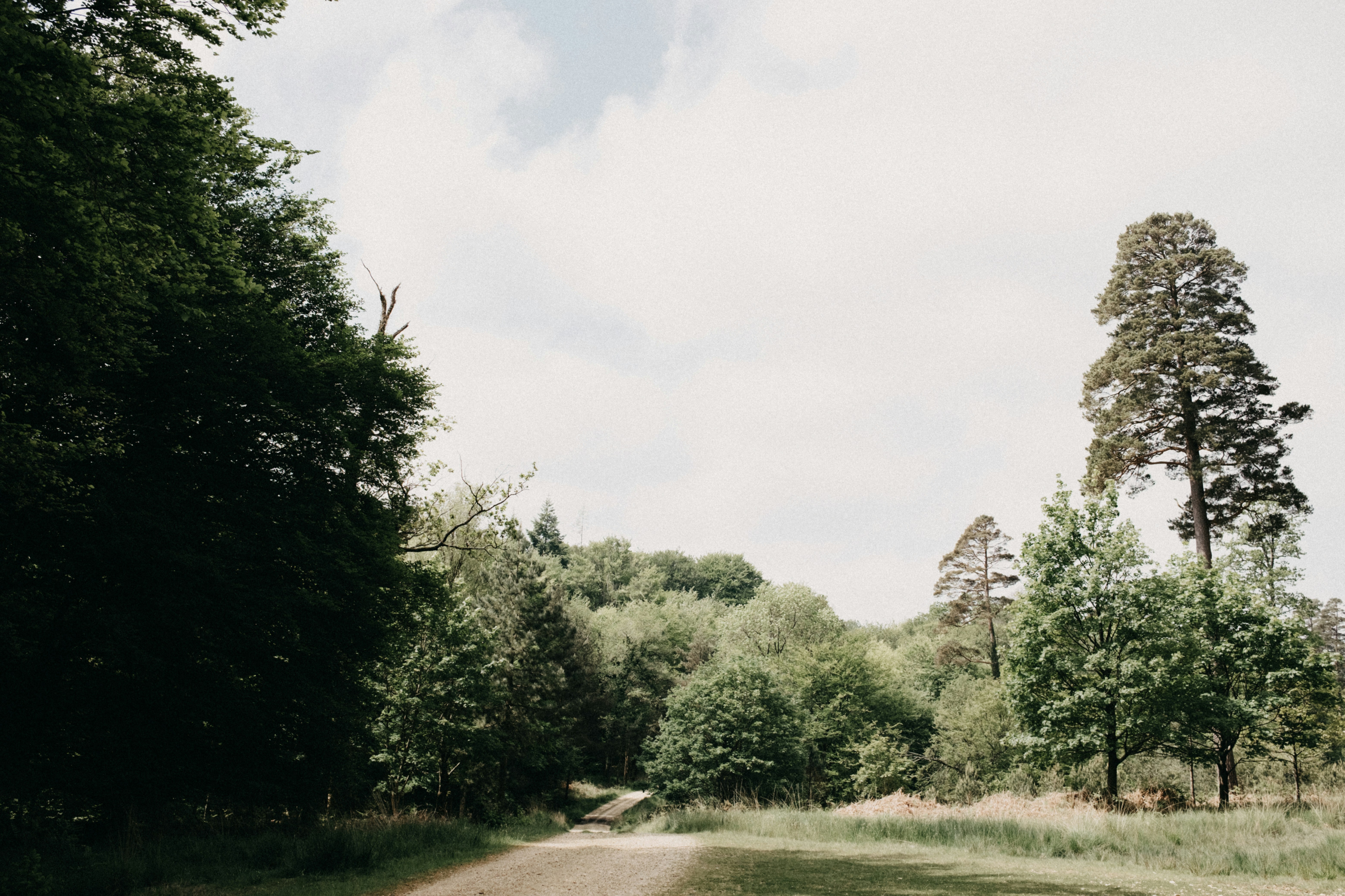 Photo by anniespratt