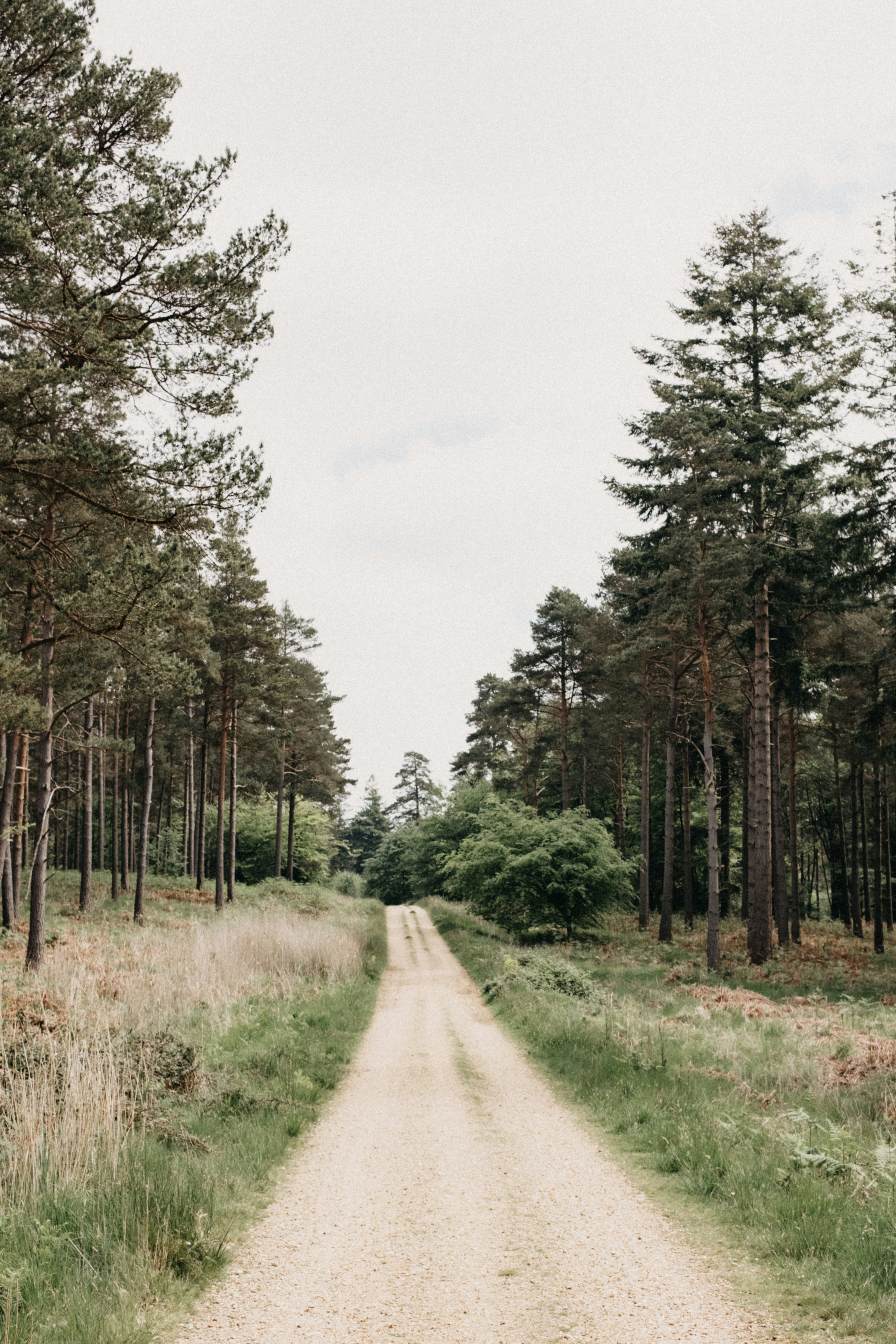 Photo by anniespratt