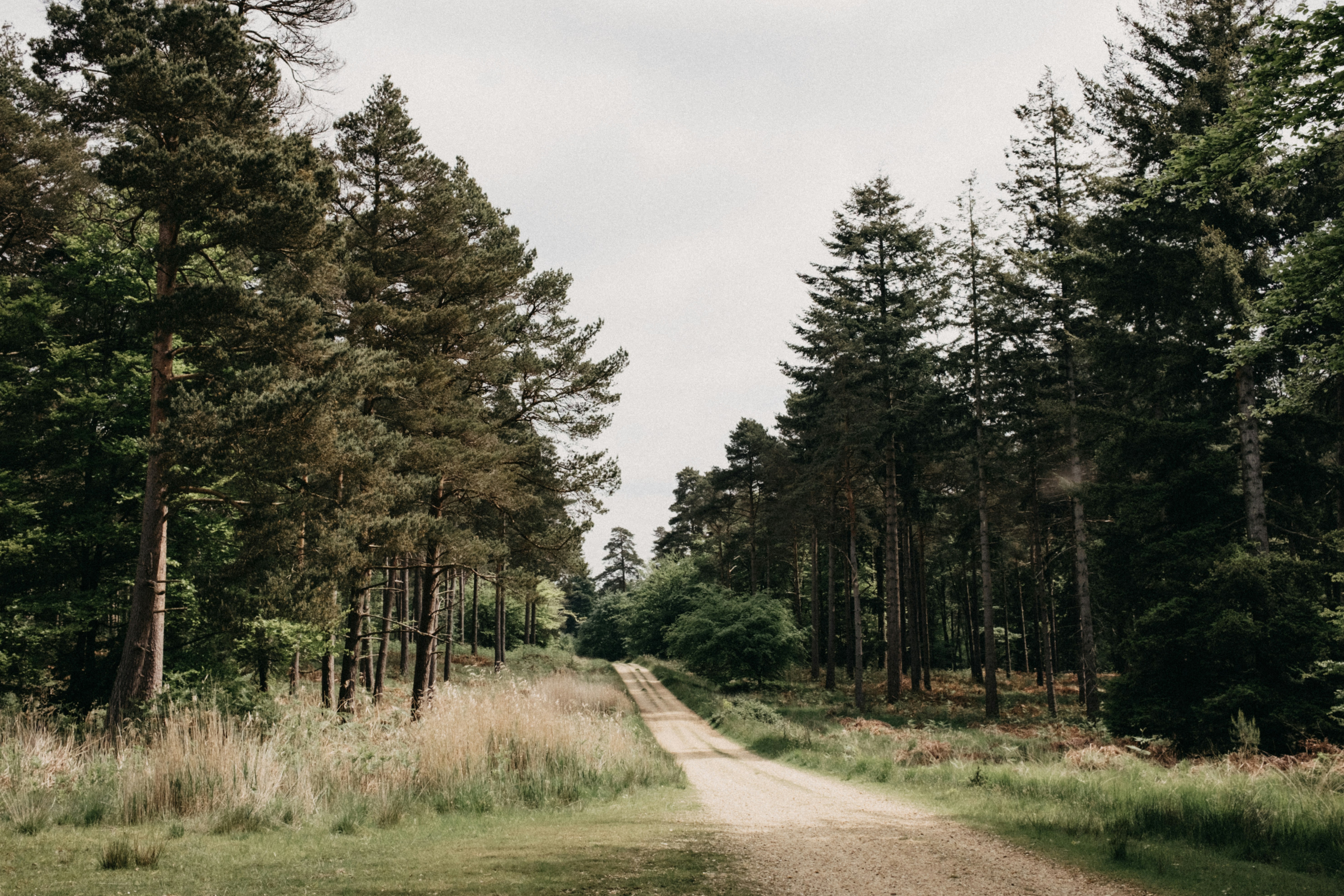 Photo by anniespratt