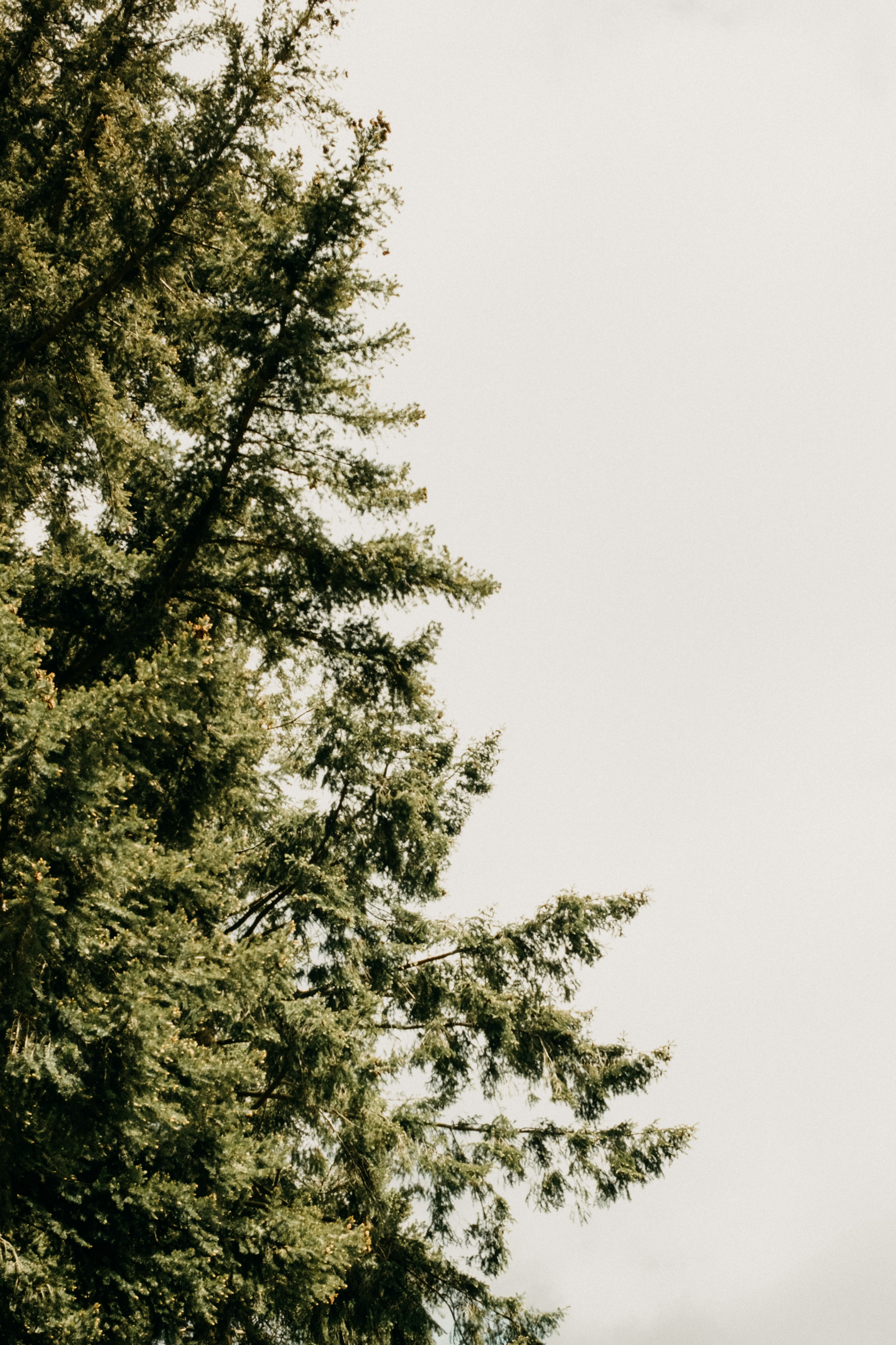 Photo by anniespratt