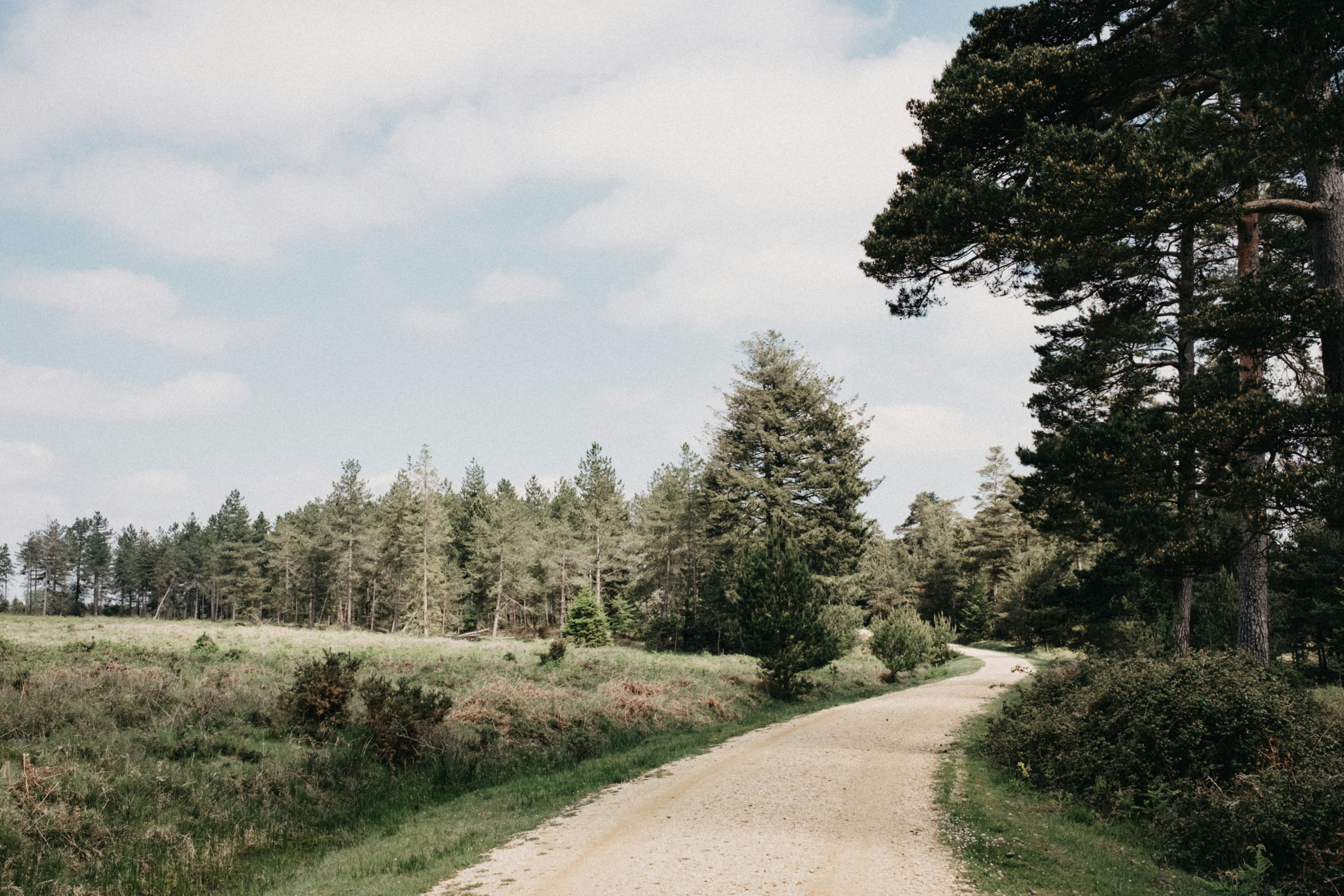 Photo by anniespratt