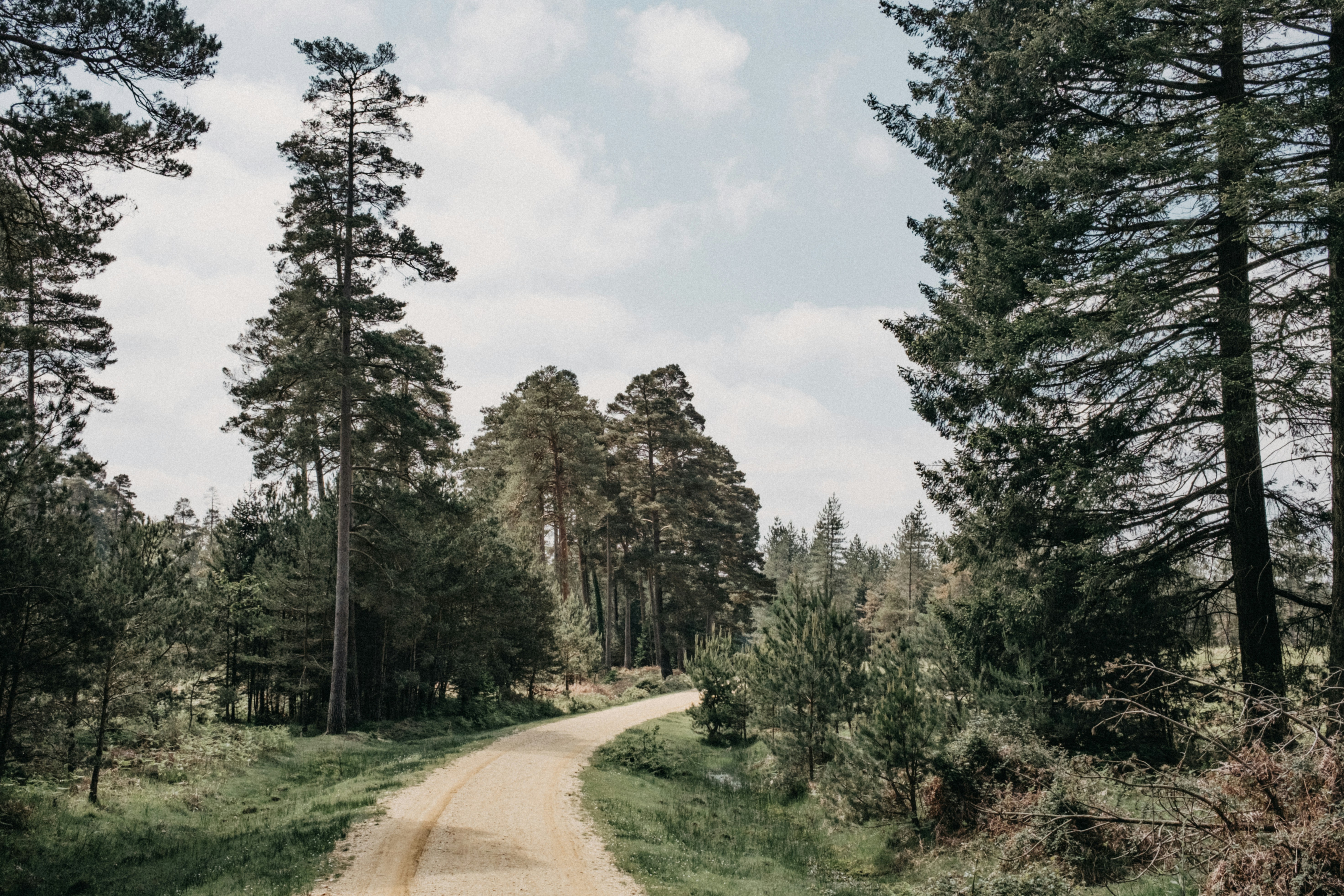 Photo by anniespratt