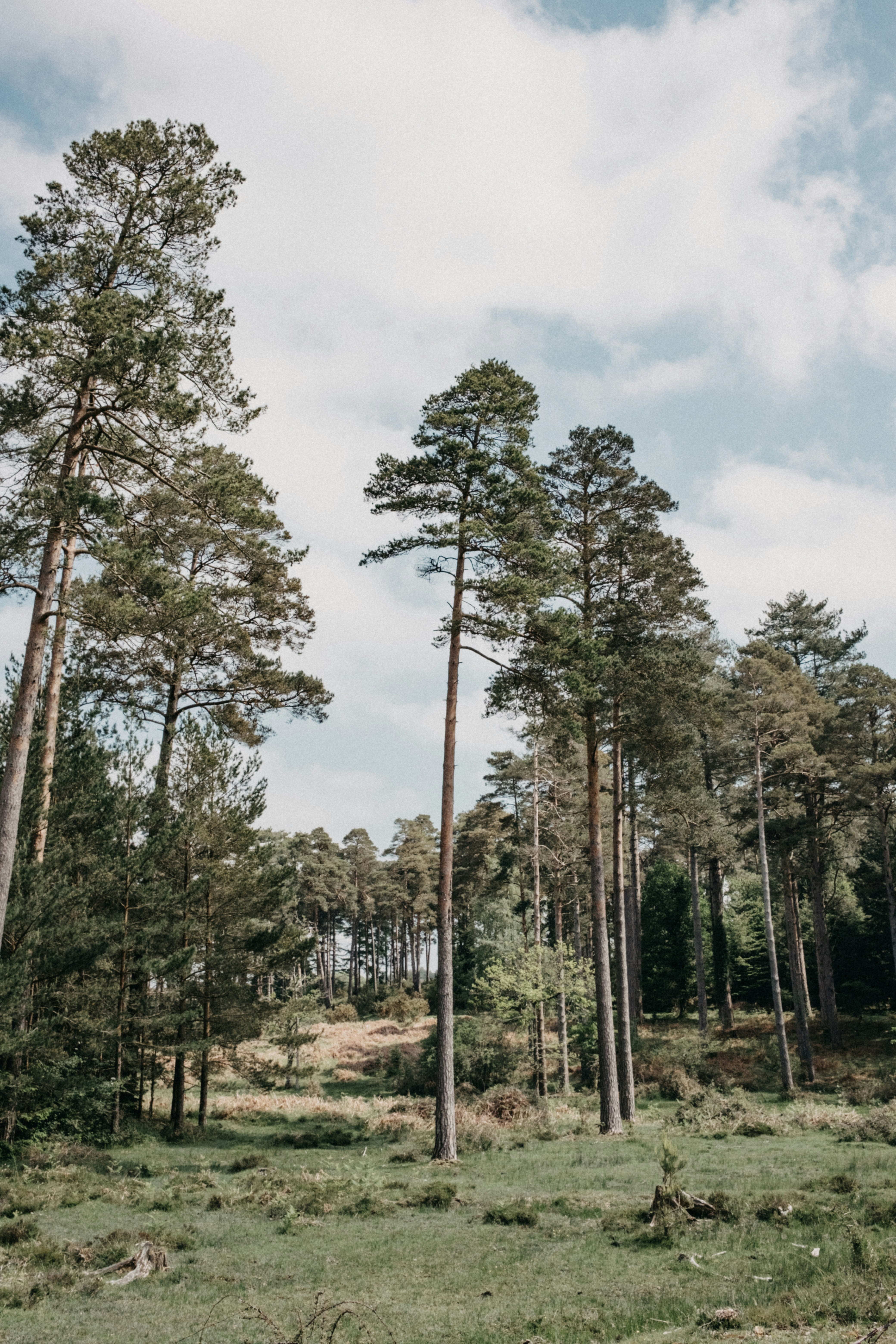 Photo by anniespratt