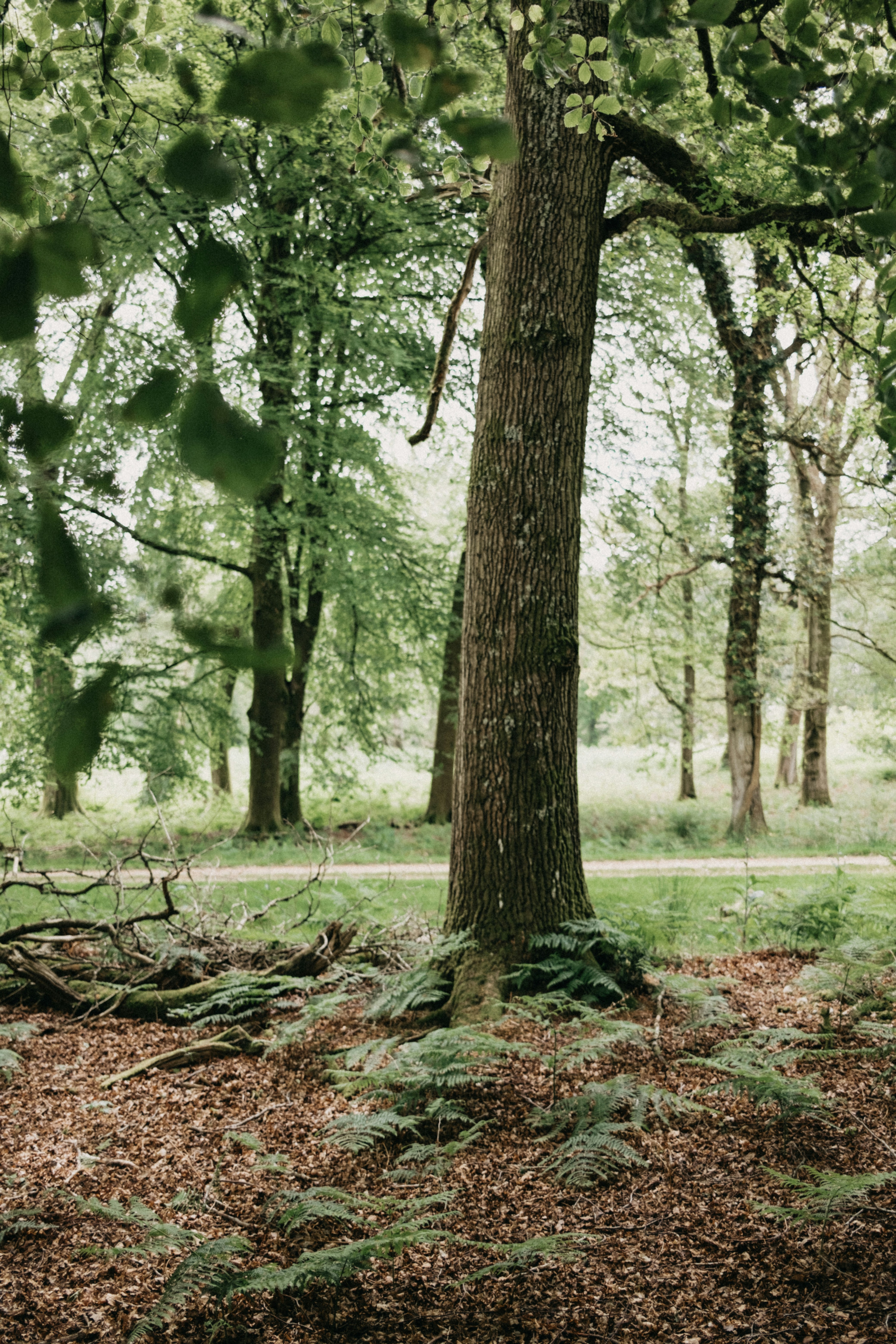 Photo by anniespratt