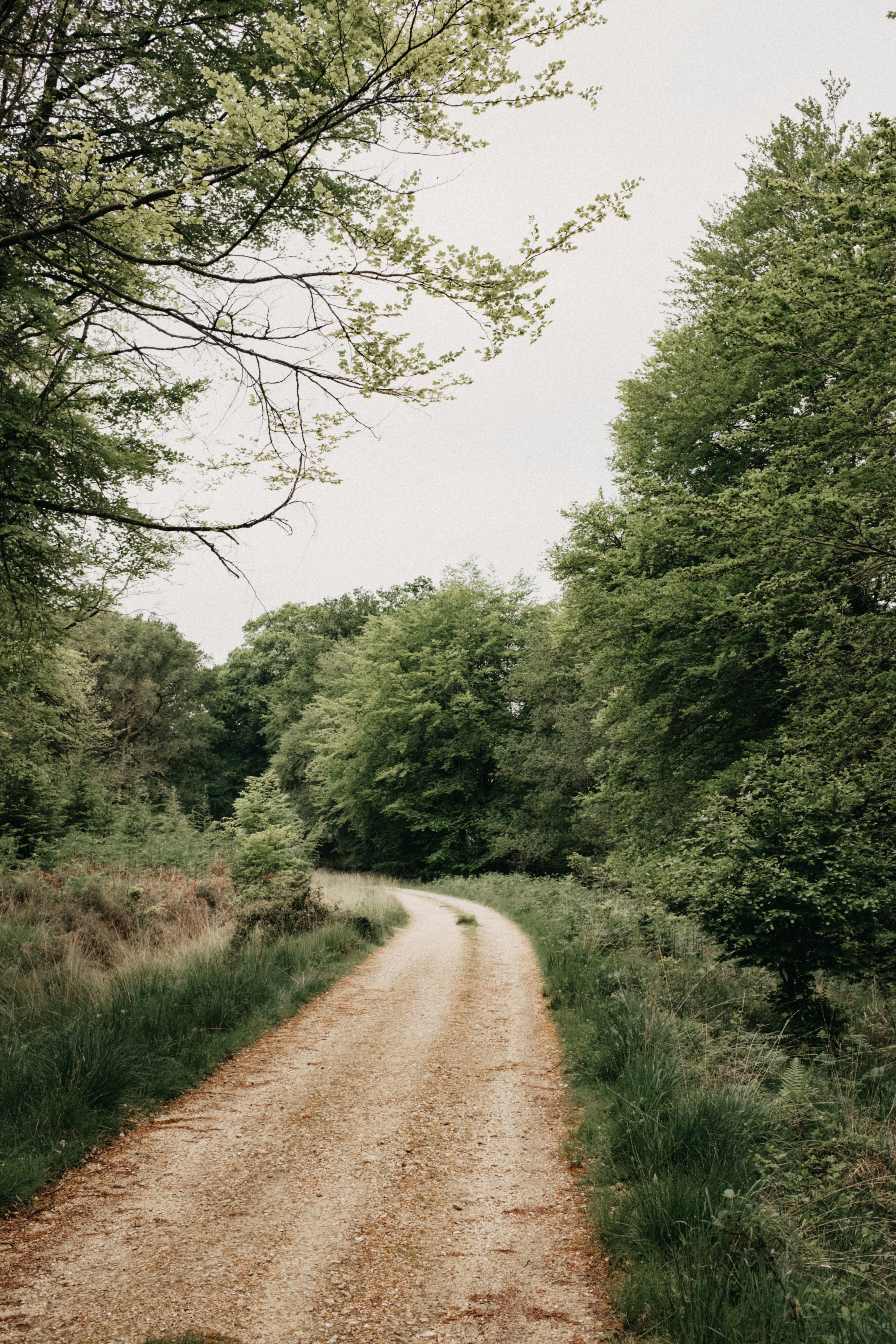 Photo by anniespratt