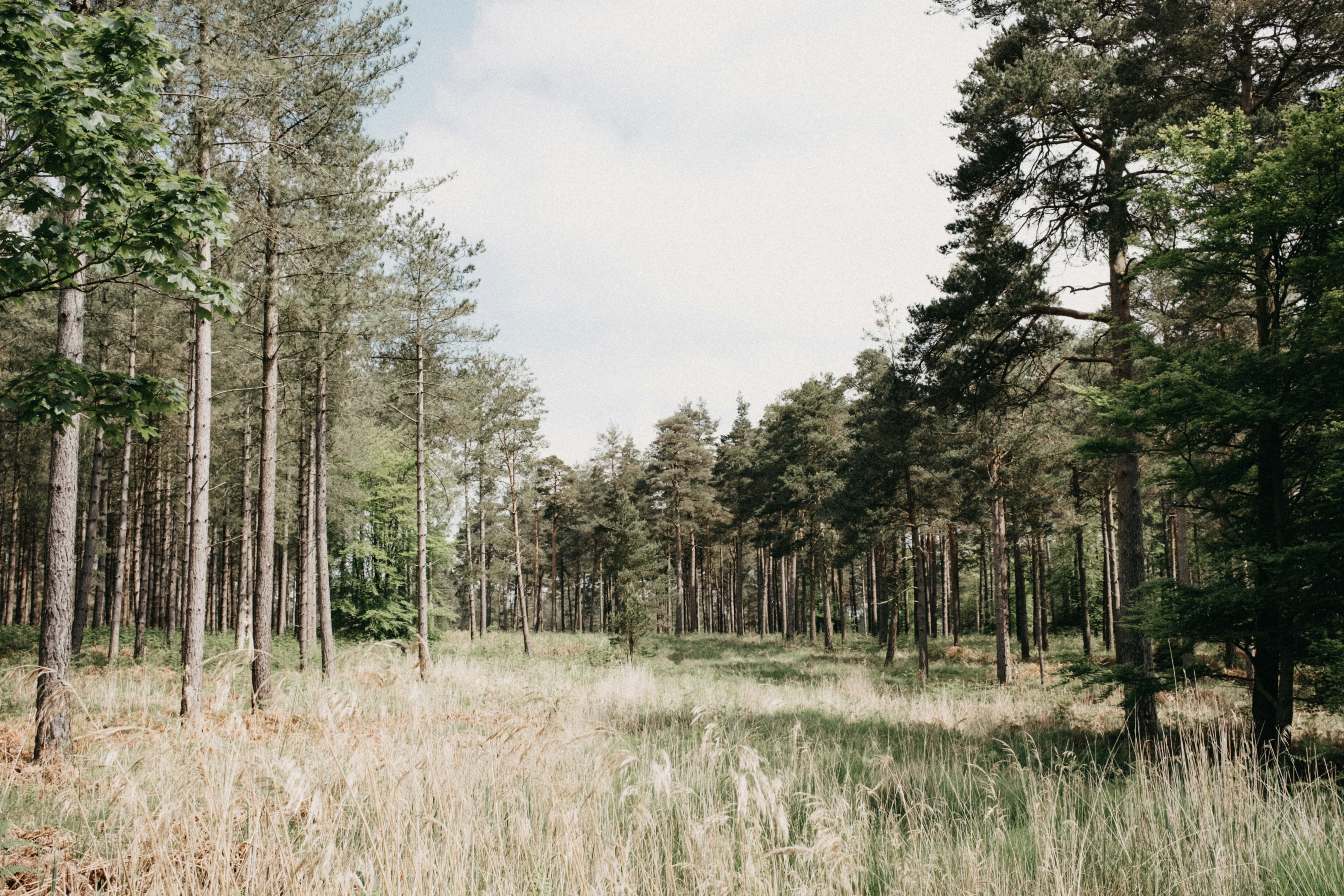 Photo by anniespratt