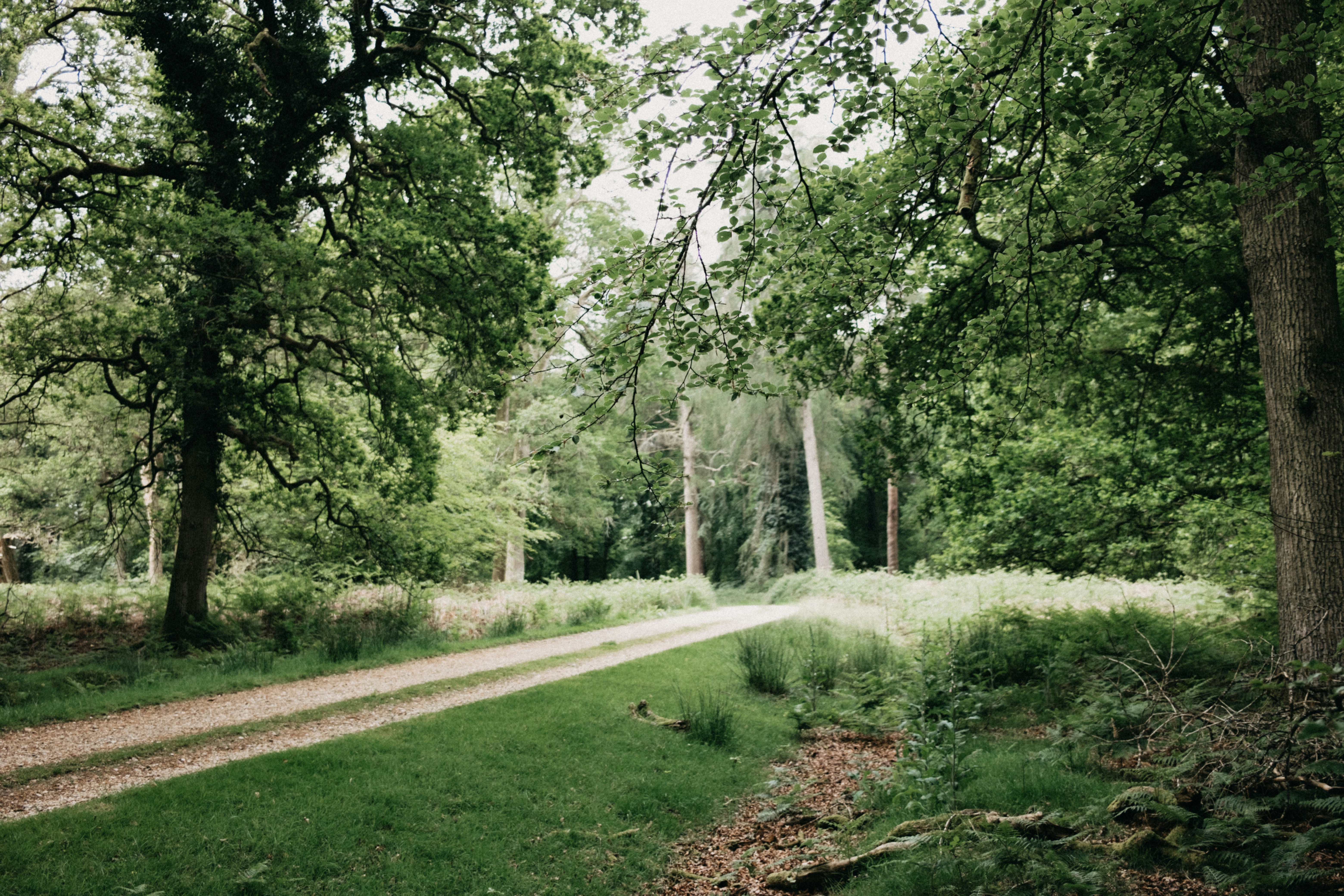 Photo by anniespratt