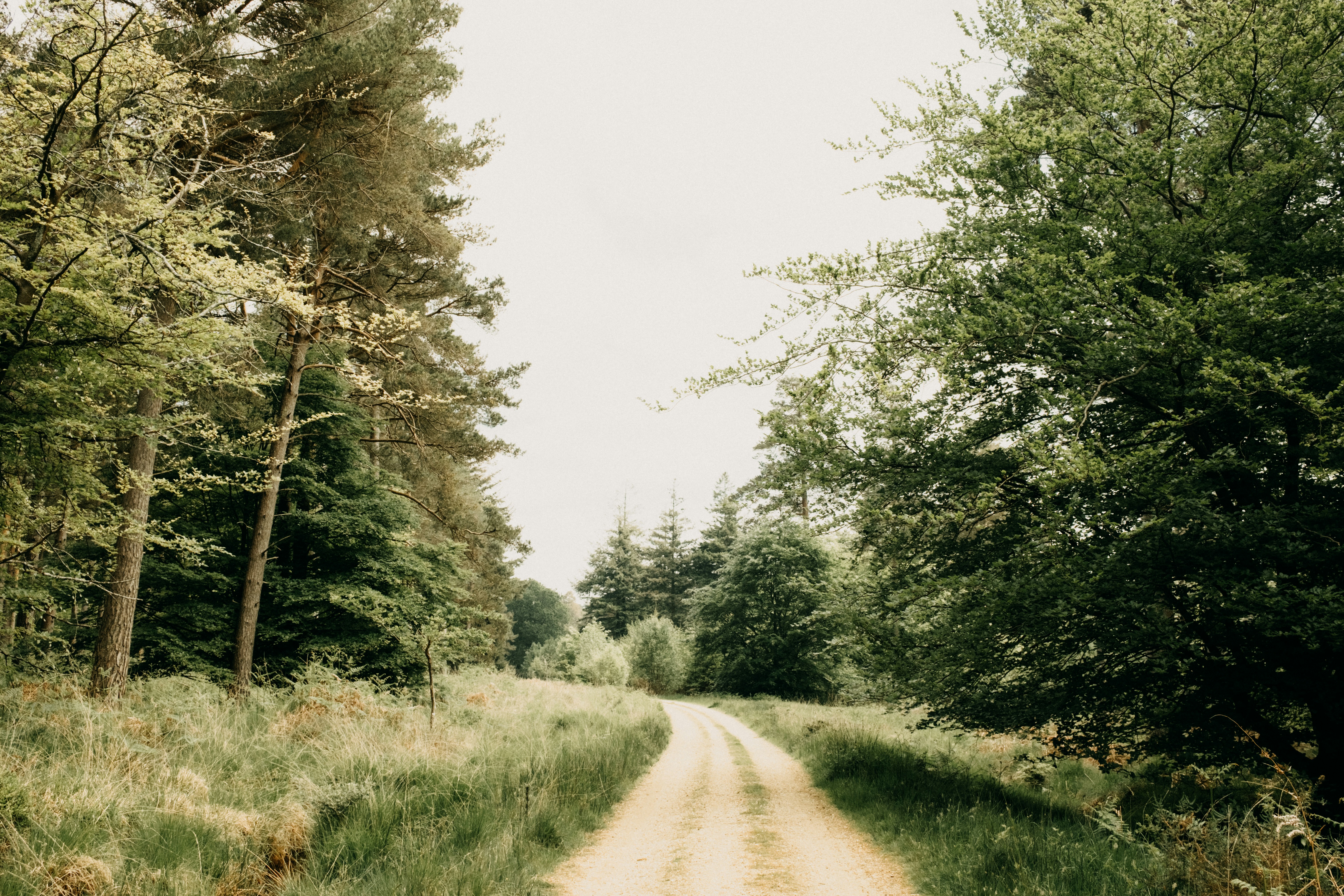 Photo by anniespratt