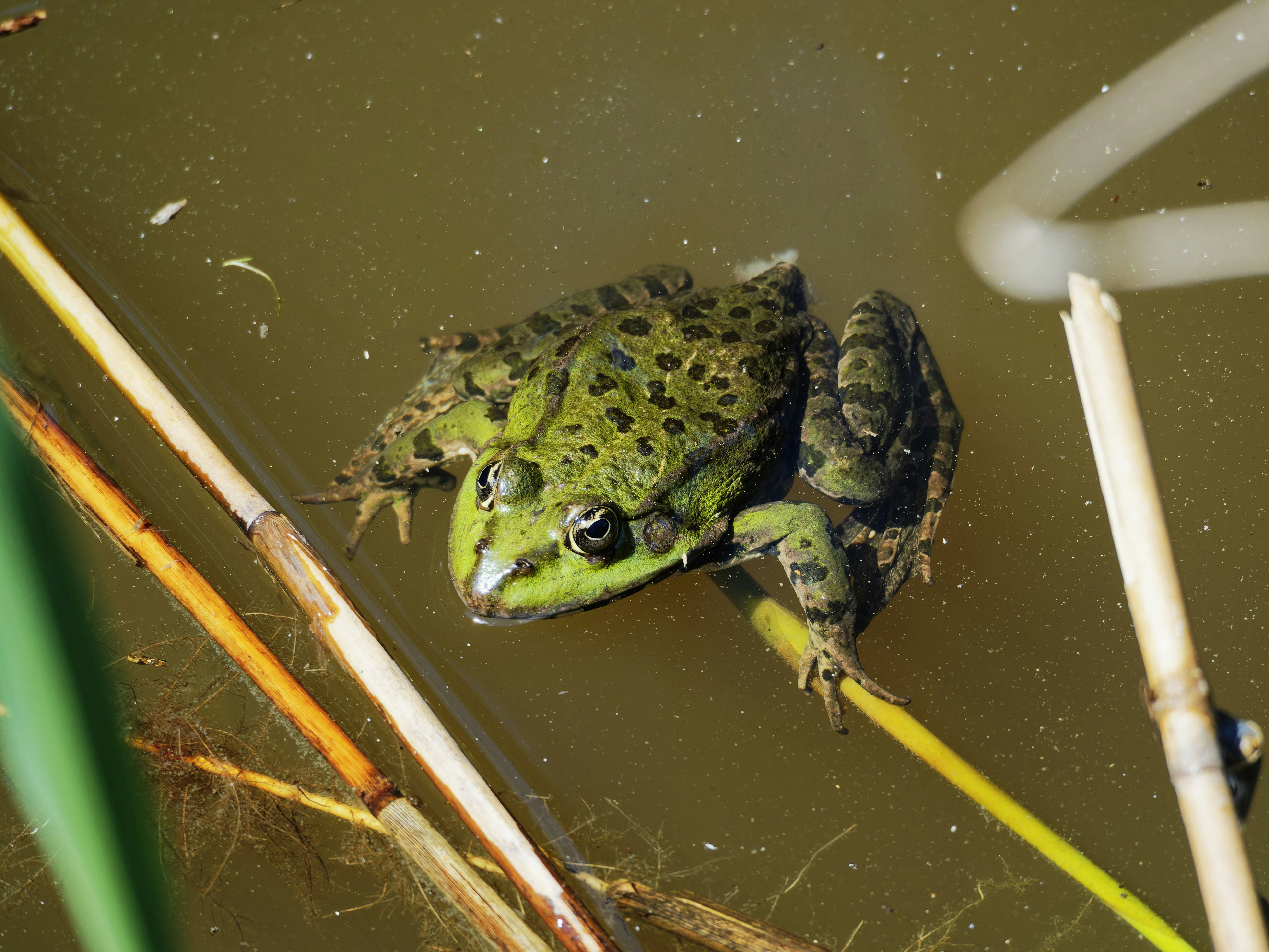 Photo by galerieseven