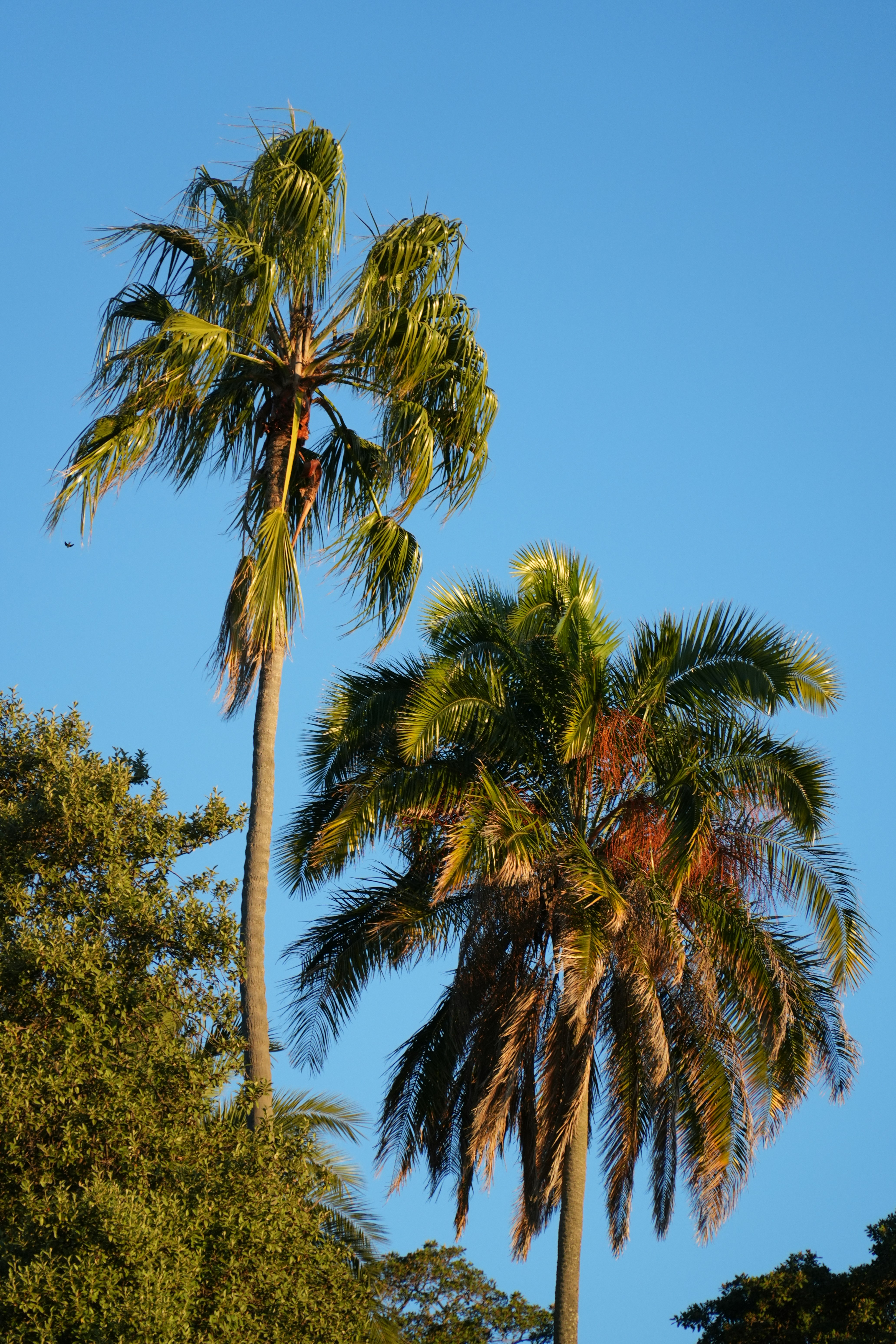 Photo by aryantheawesome