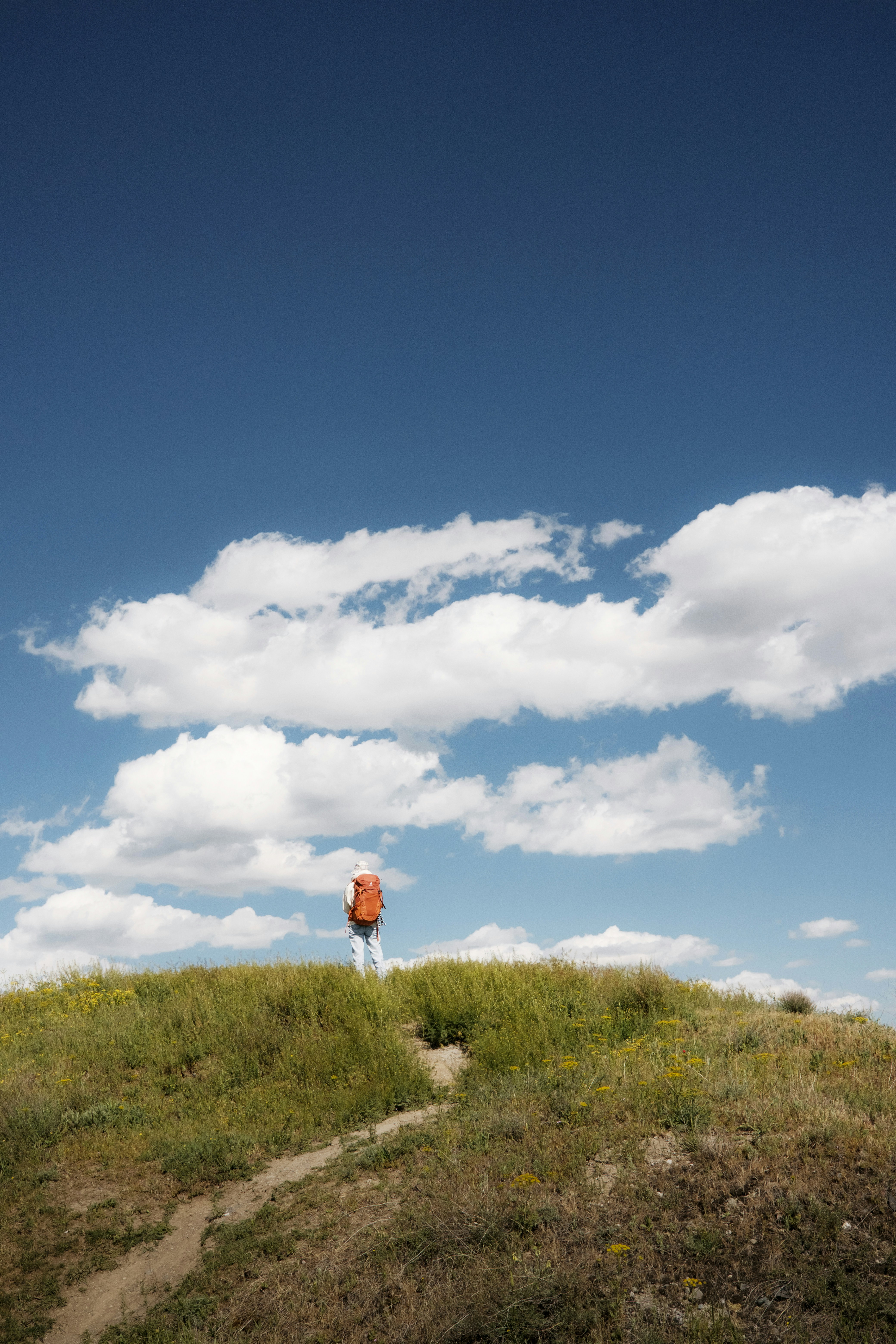 a cow standing on top of a lush green hillside