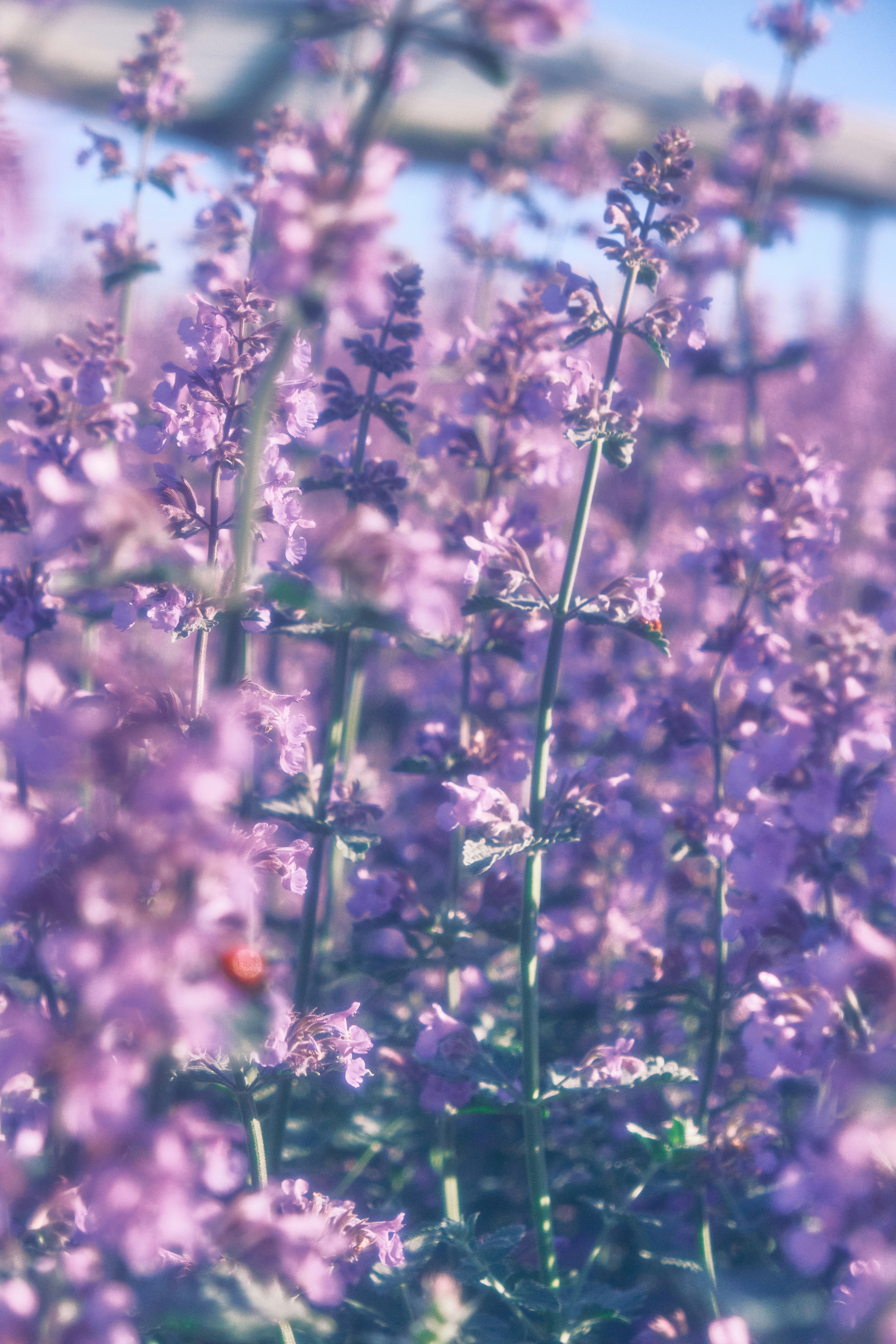 Photo by junyang0317