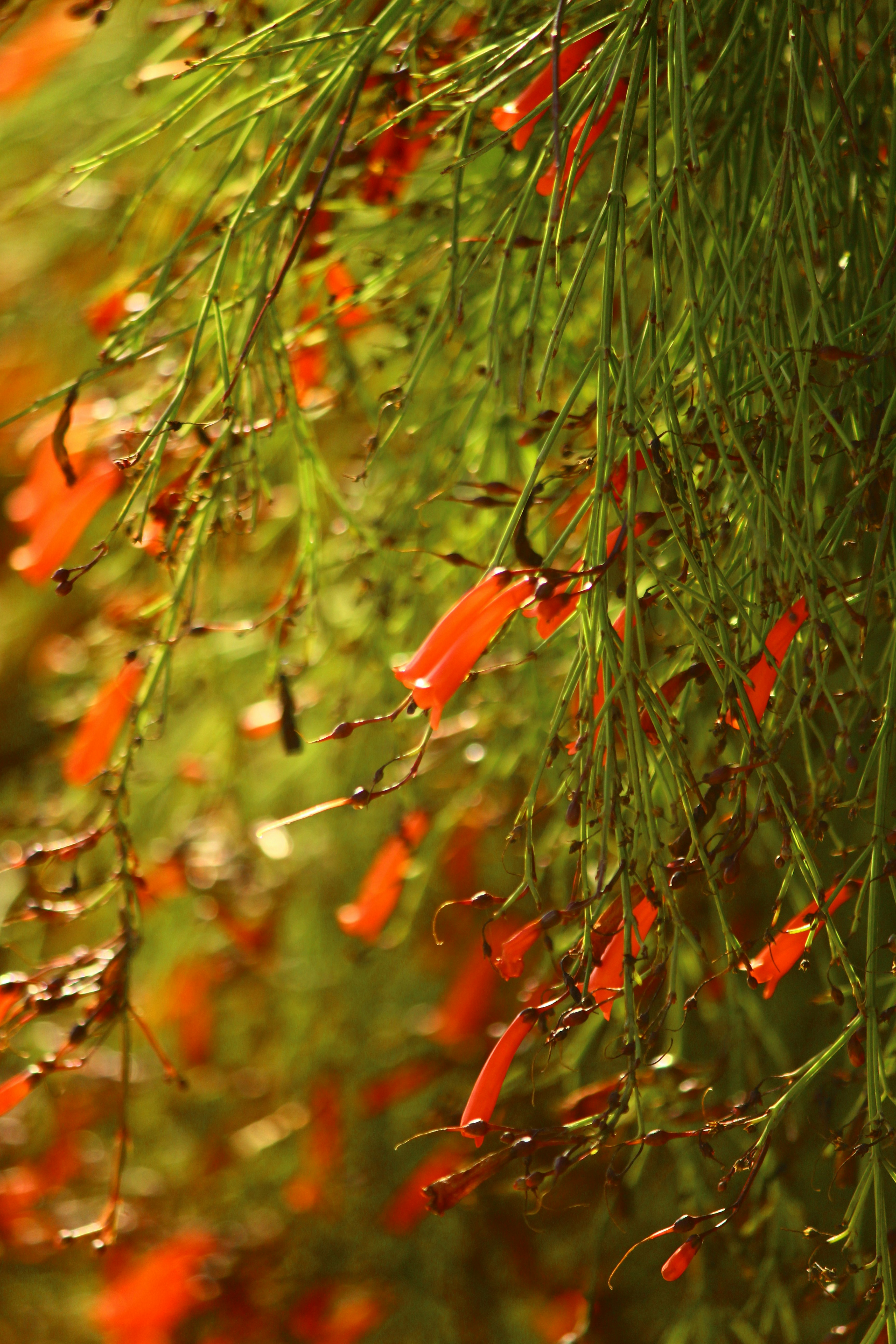 Photo by bhatia_rashmi