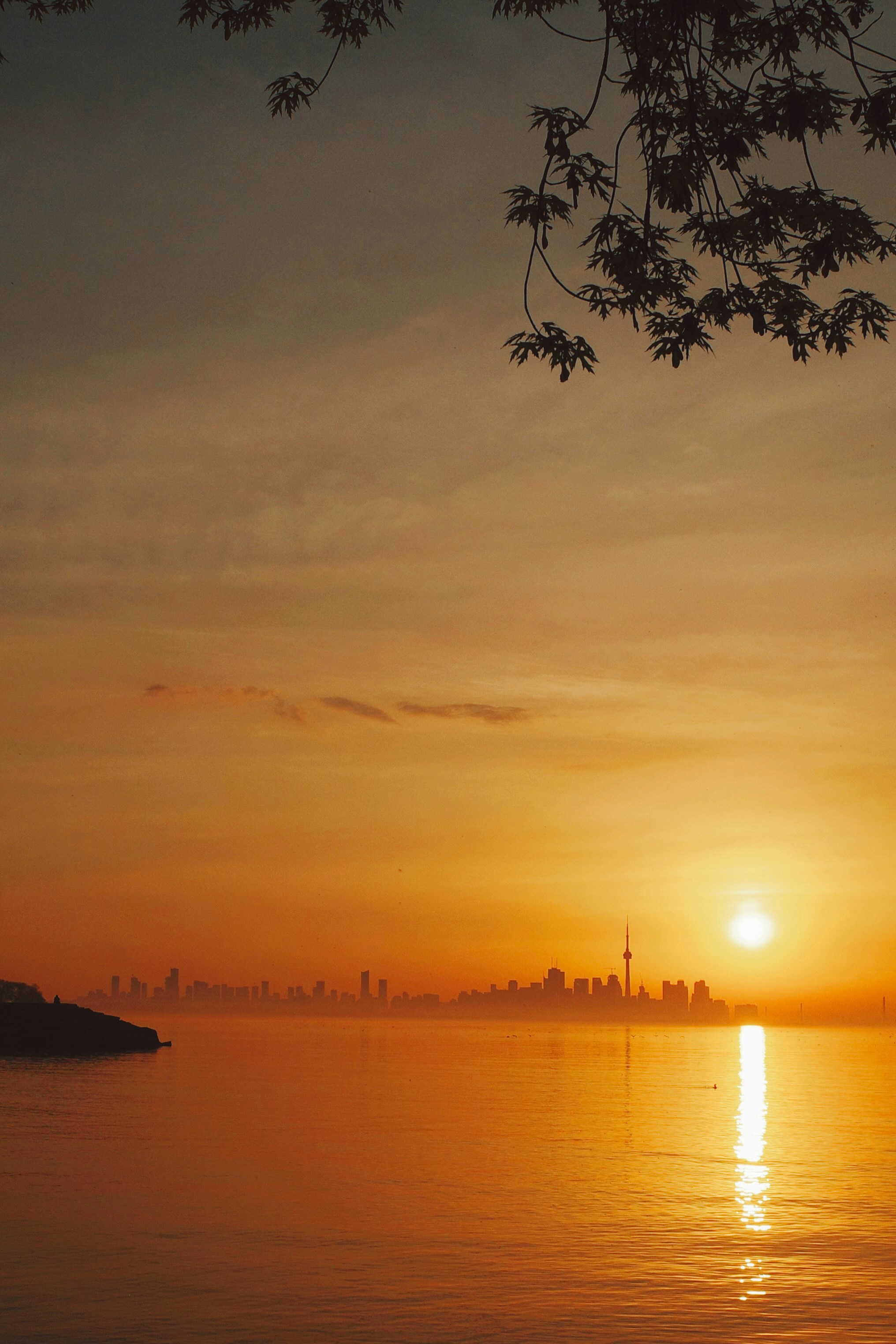 Photo by tylerrooney