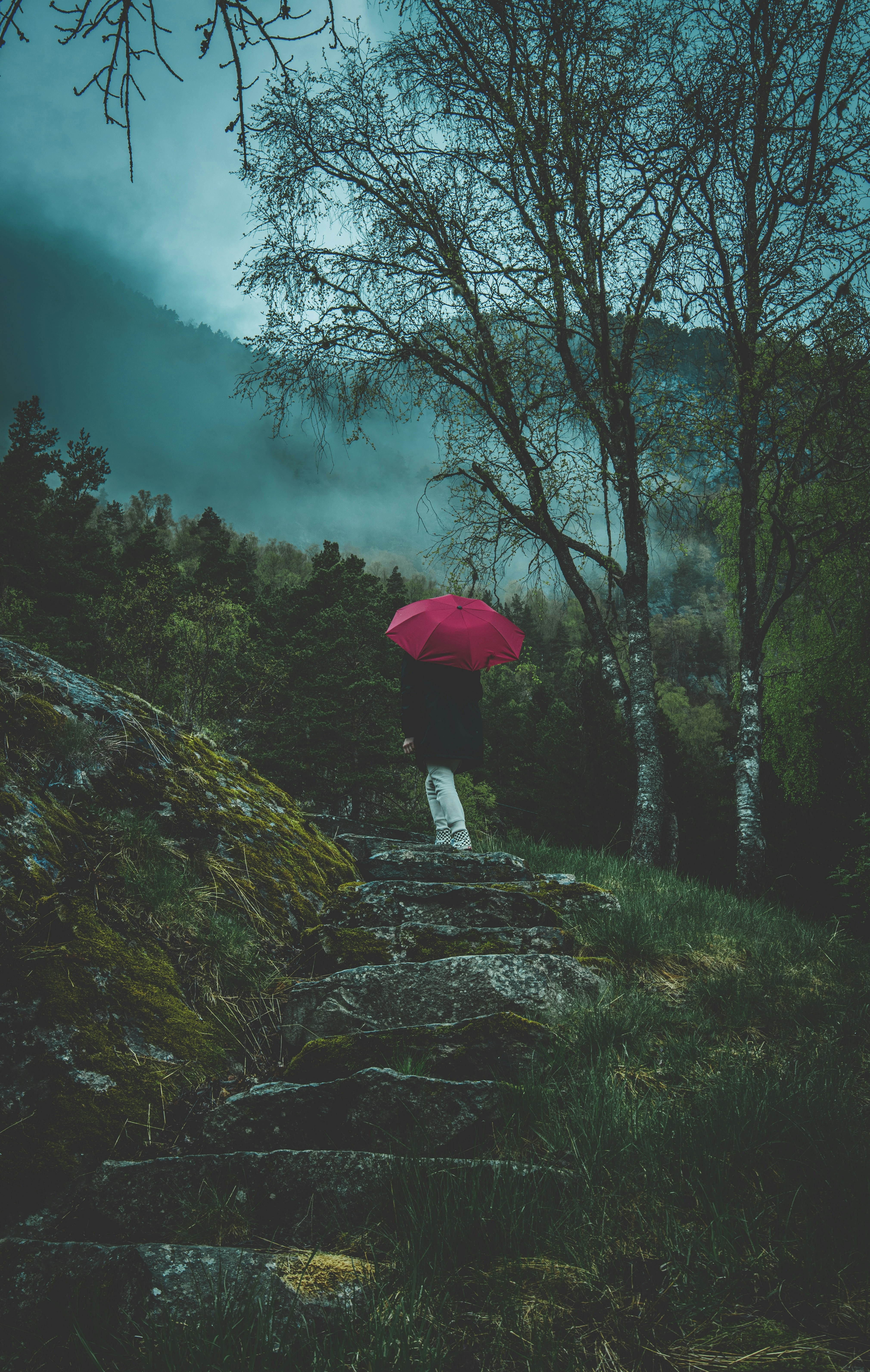 a person with a red umbrella walking up a stone path