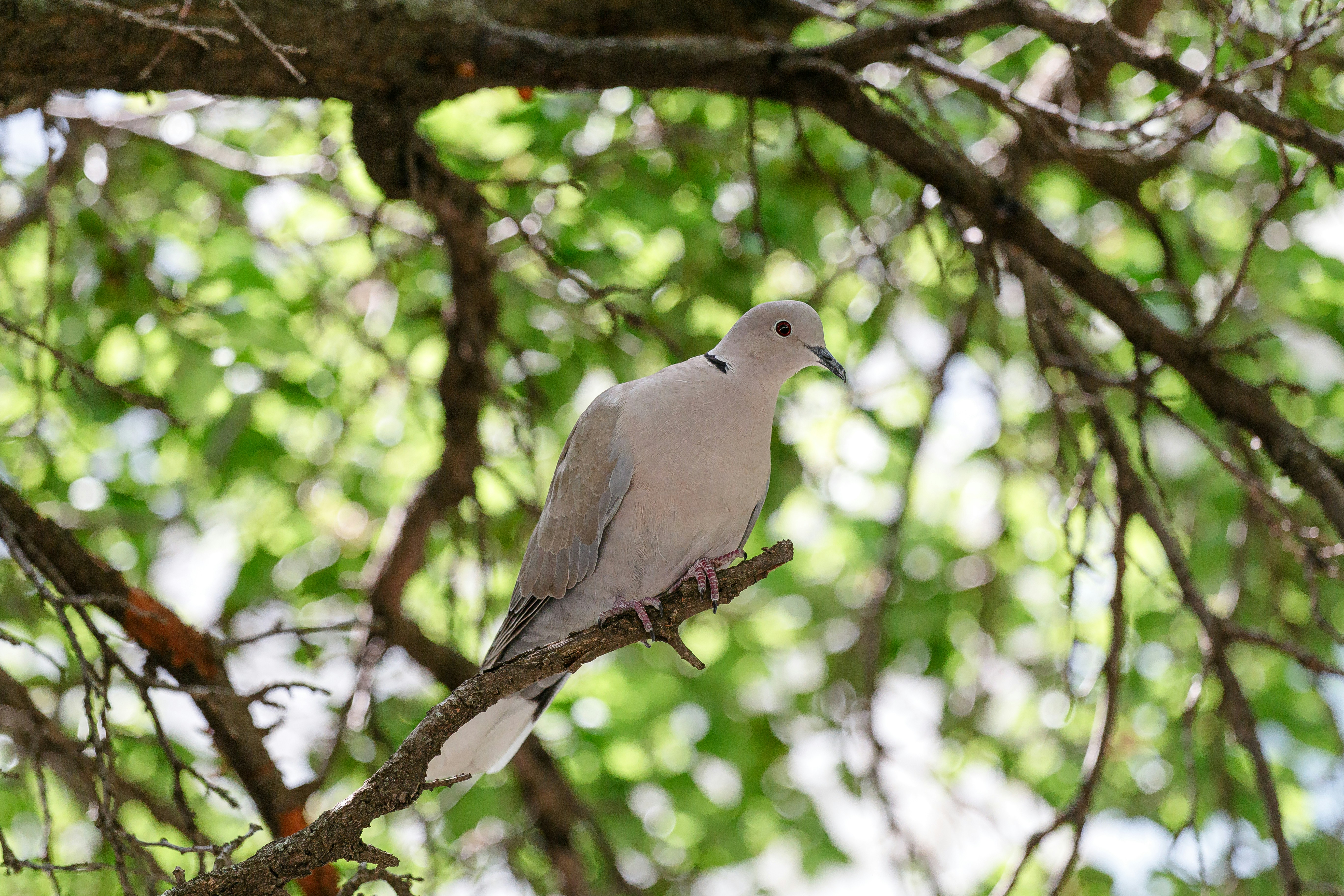 Photo by malygos6000