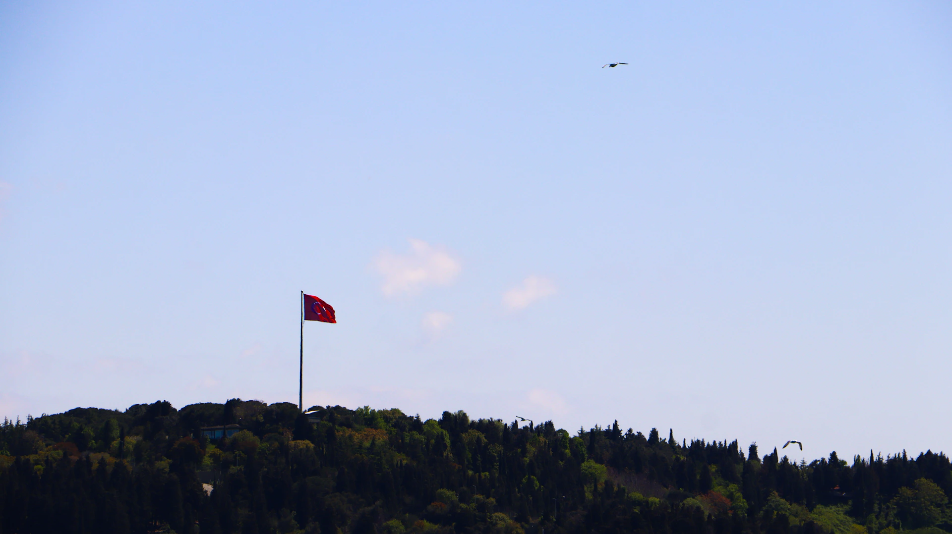 a flag on top of a hill with trees in the background
