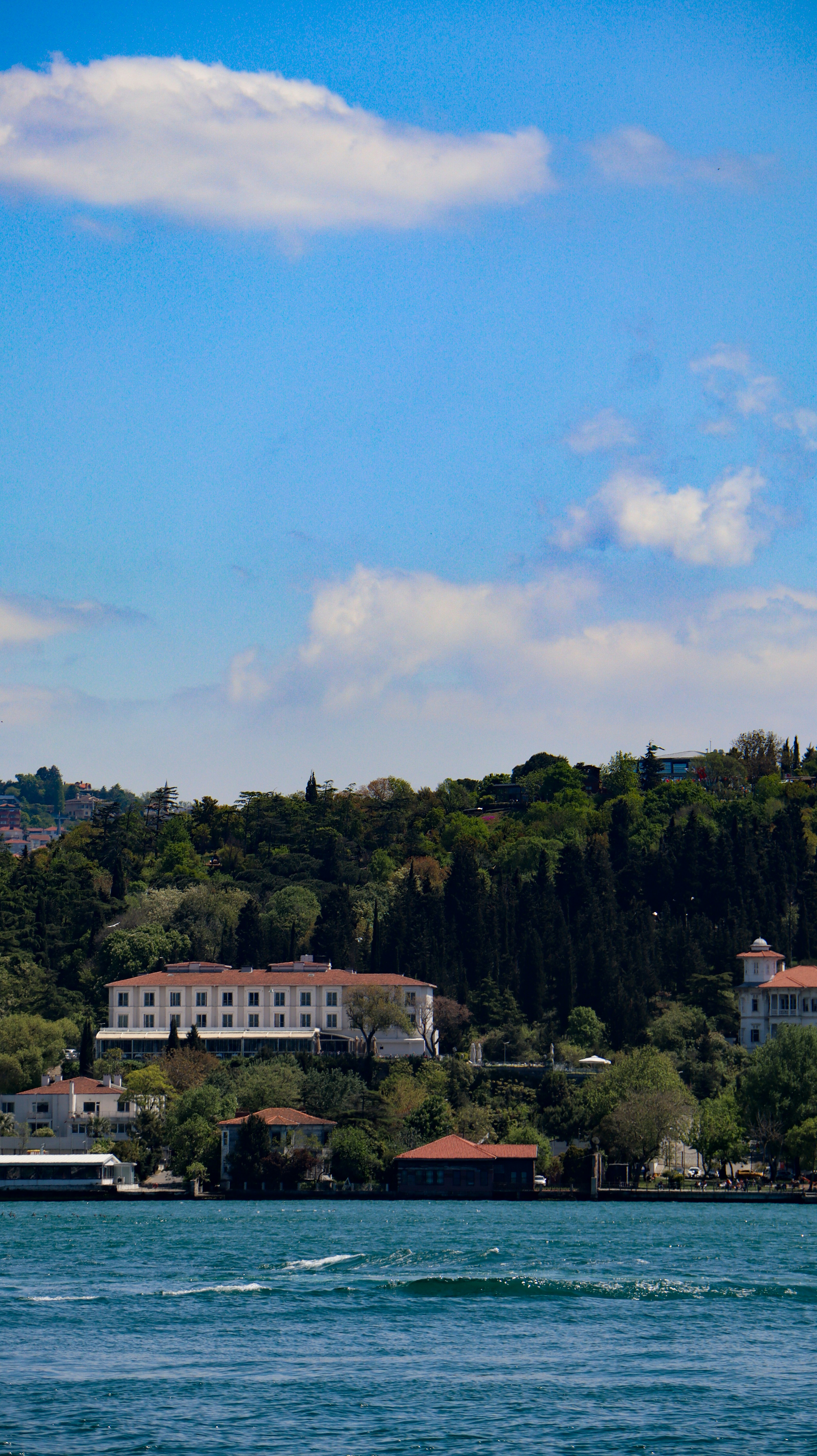 Photo by asliyarenpeker