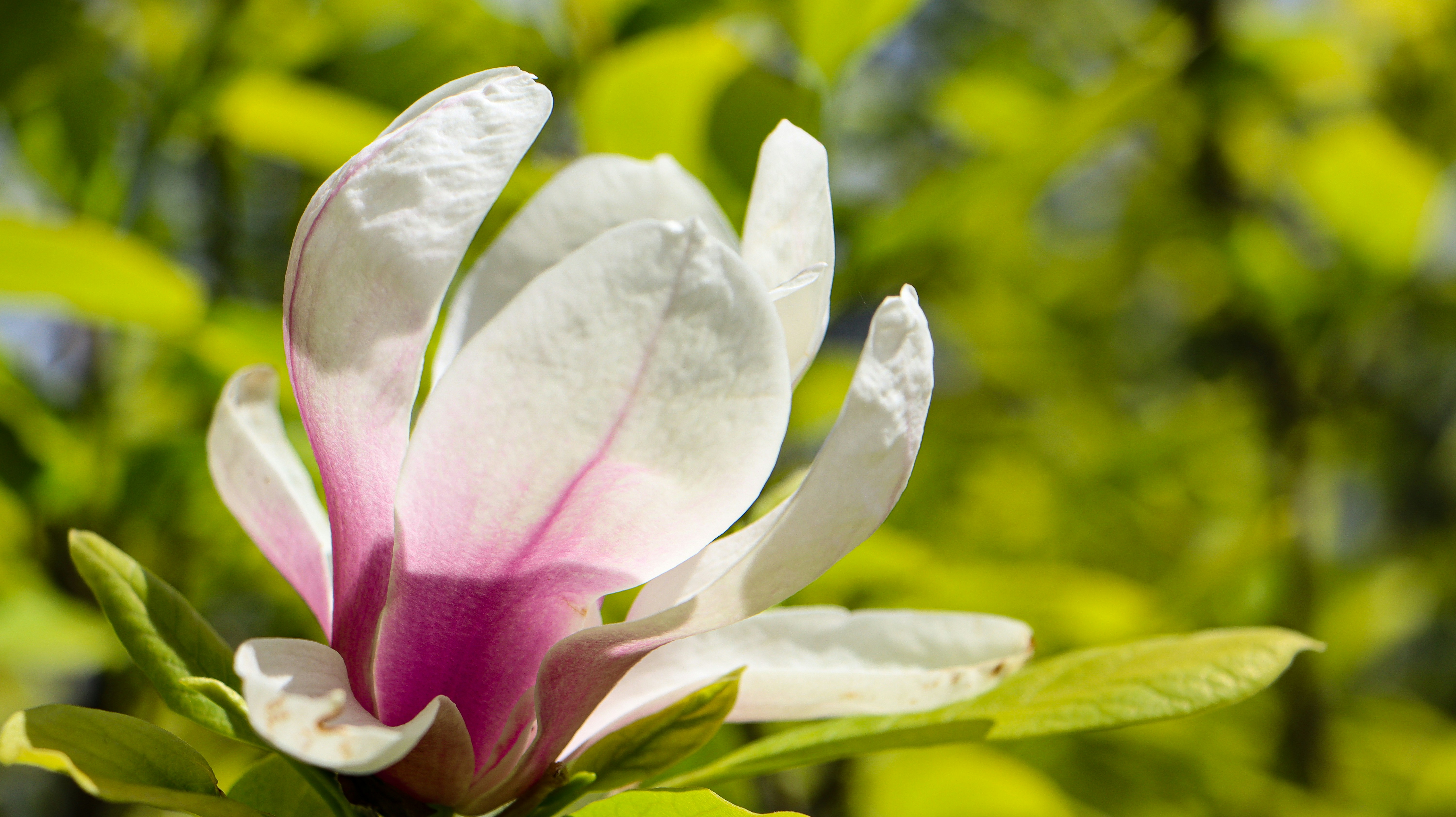 Photo by asliyarenpeker