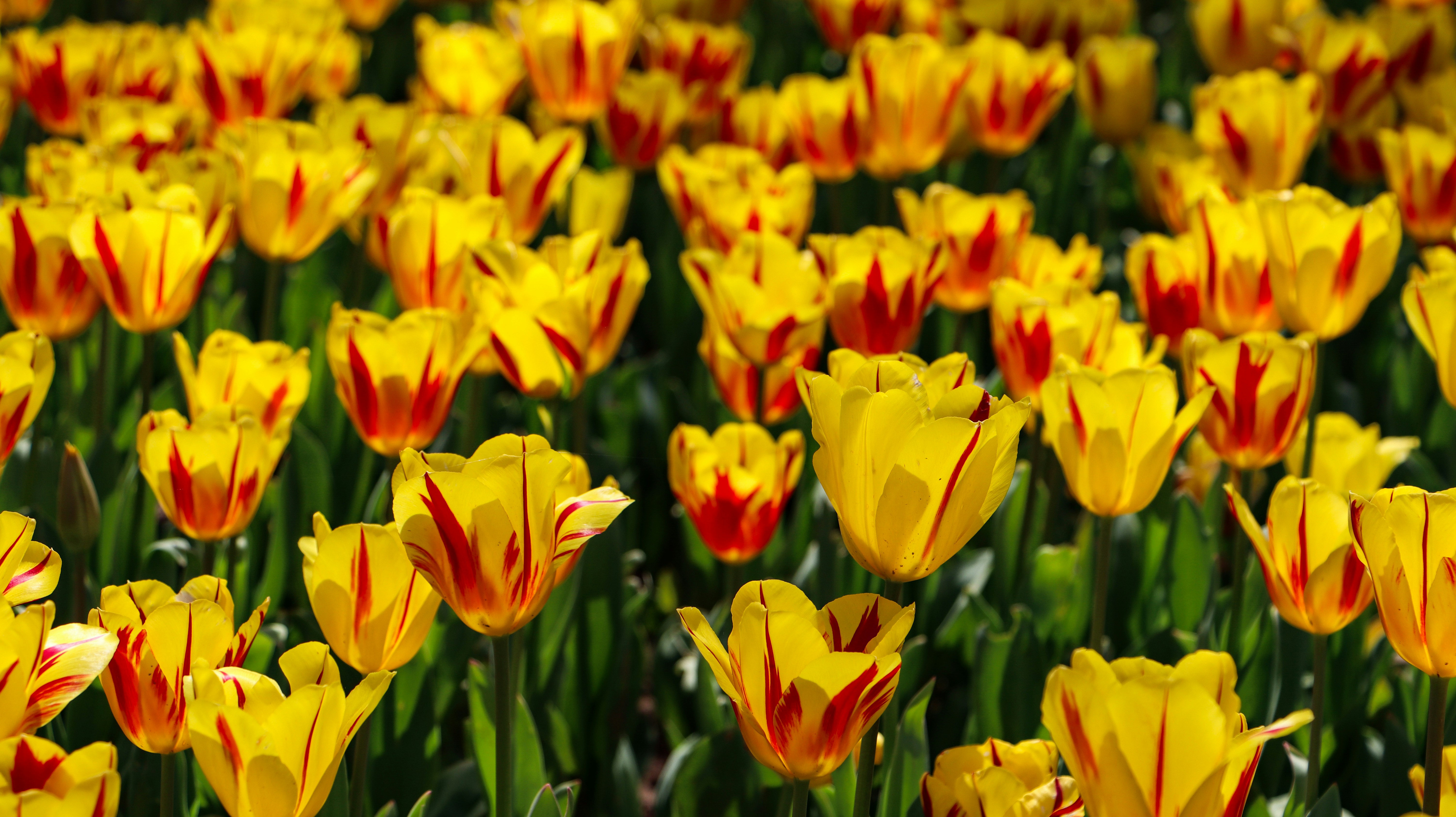 Photo by asliyarenpeker