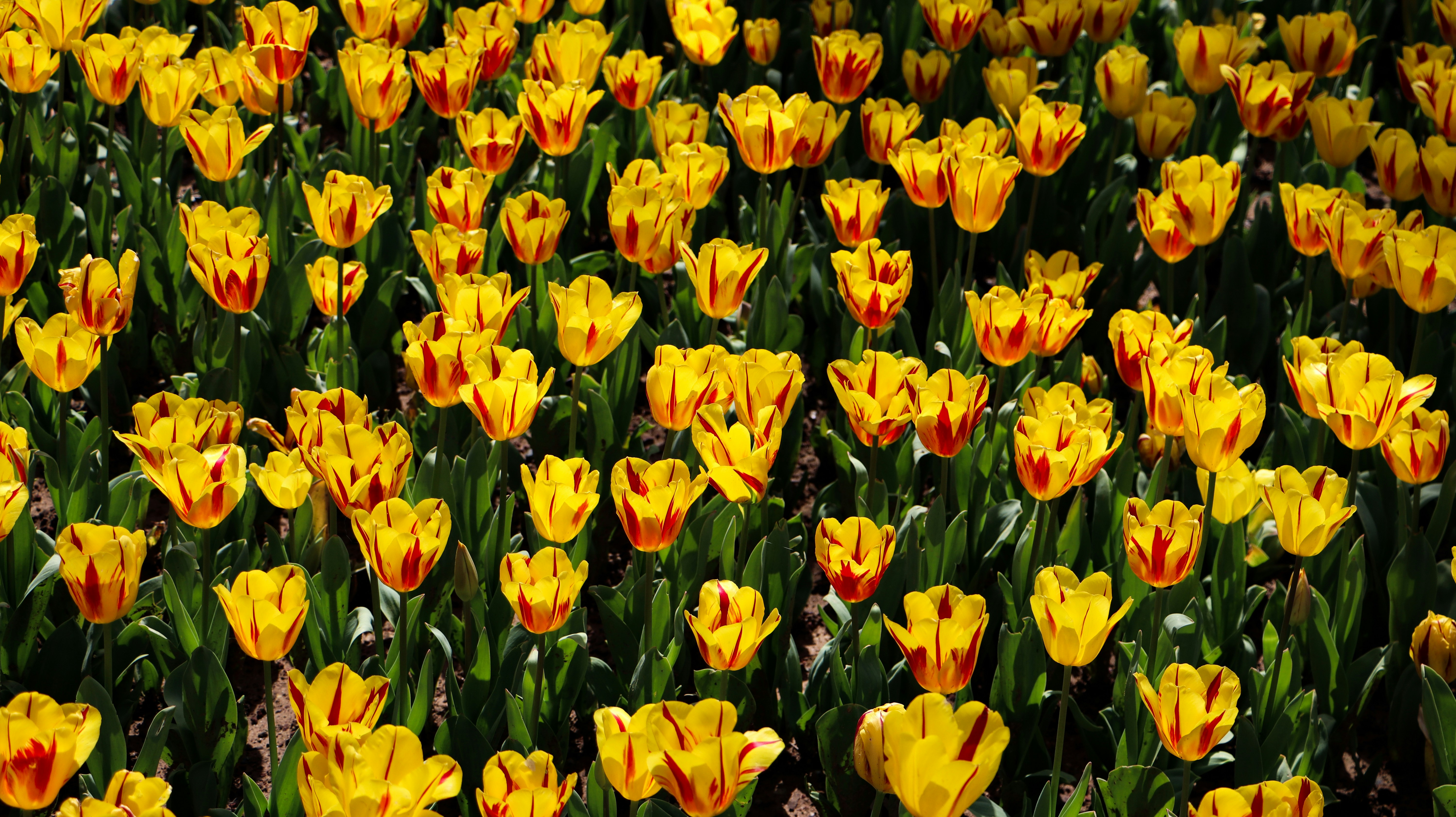 Photo by asliyarenpeker