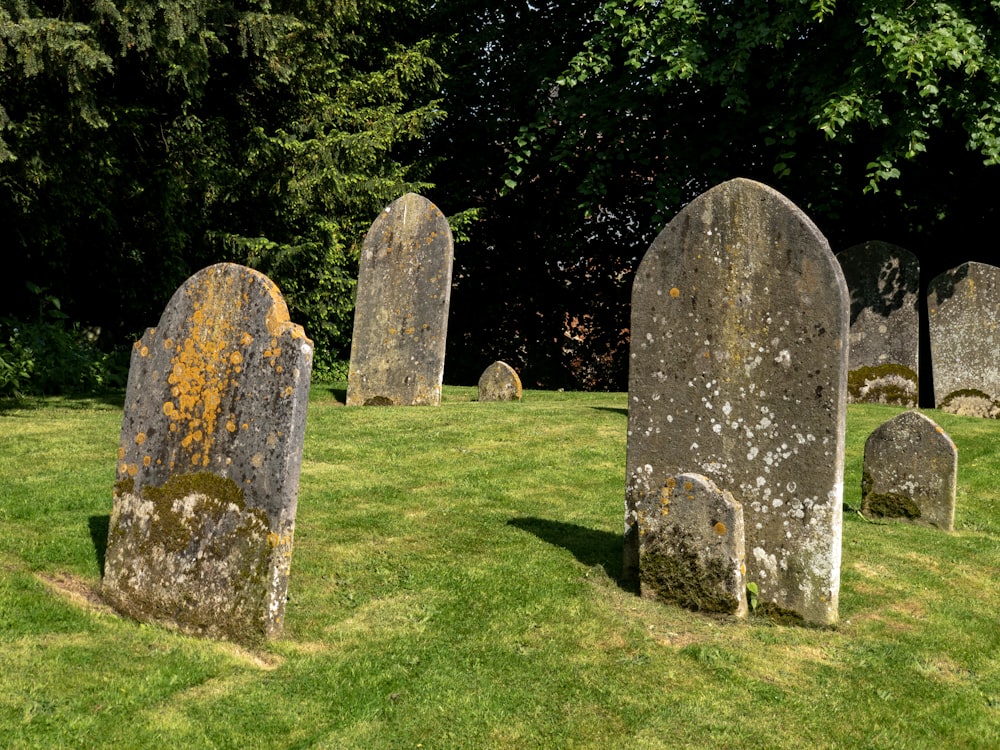 a group of old tombstones in a grassy field