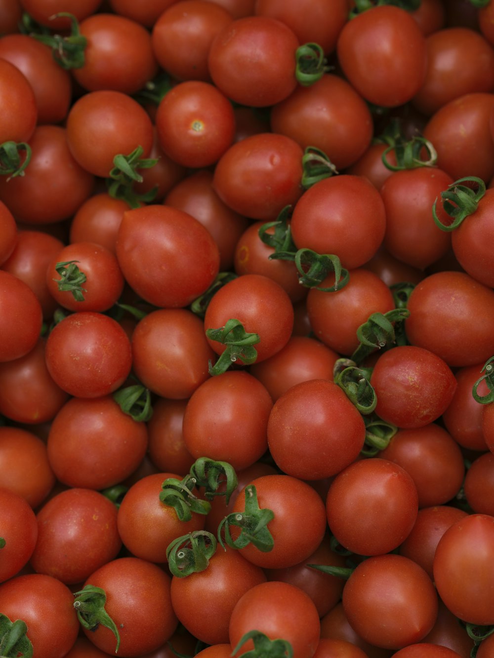 a pile of tomatoes with green leaves on them